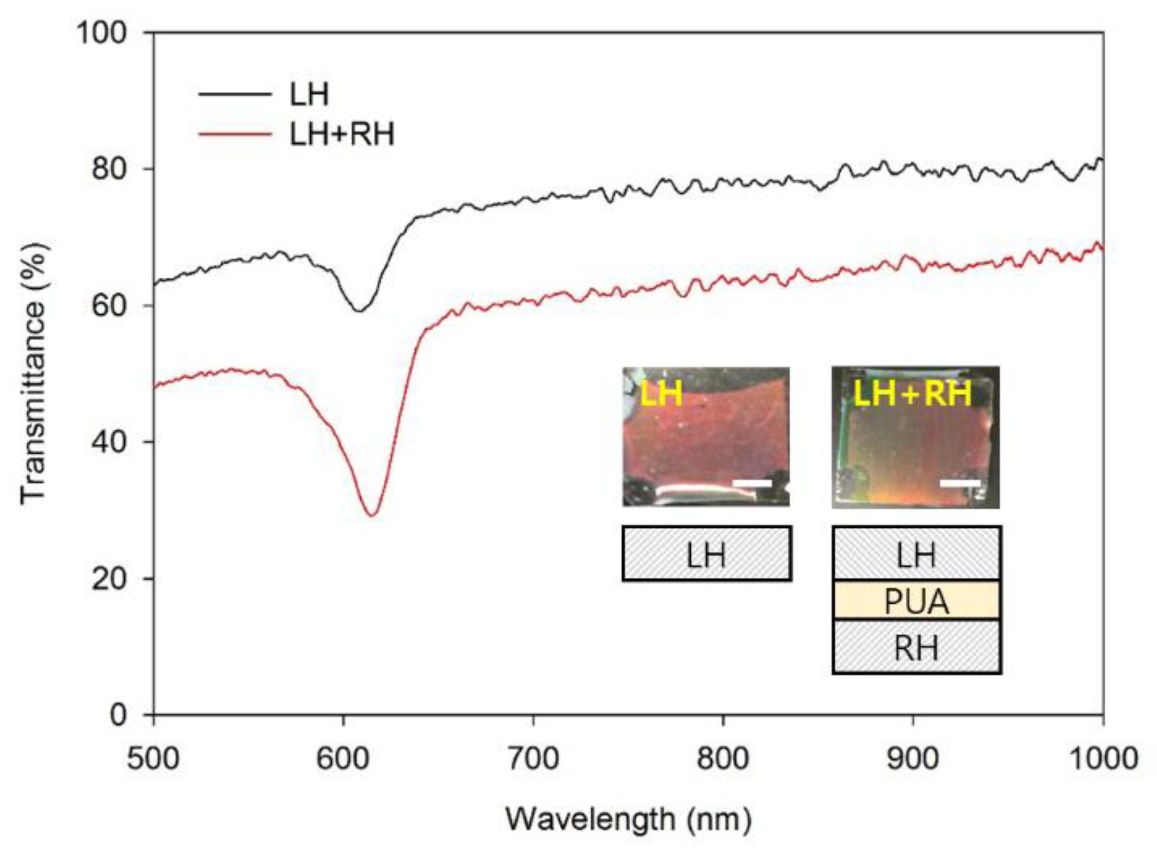 Materials 16 00035 g004