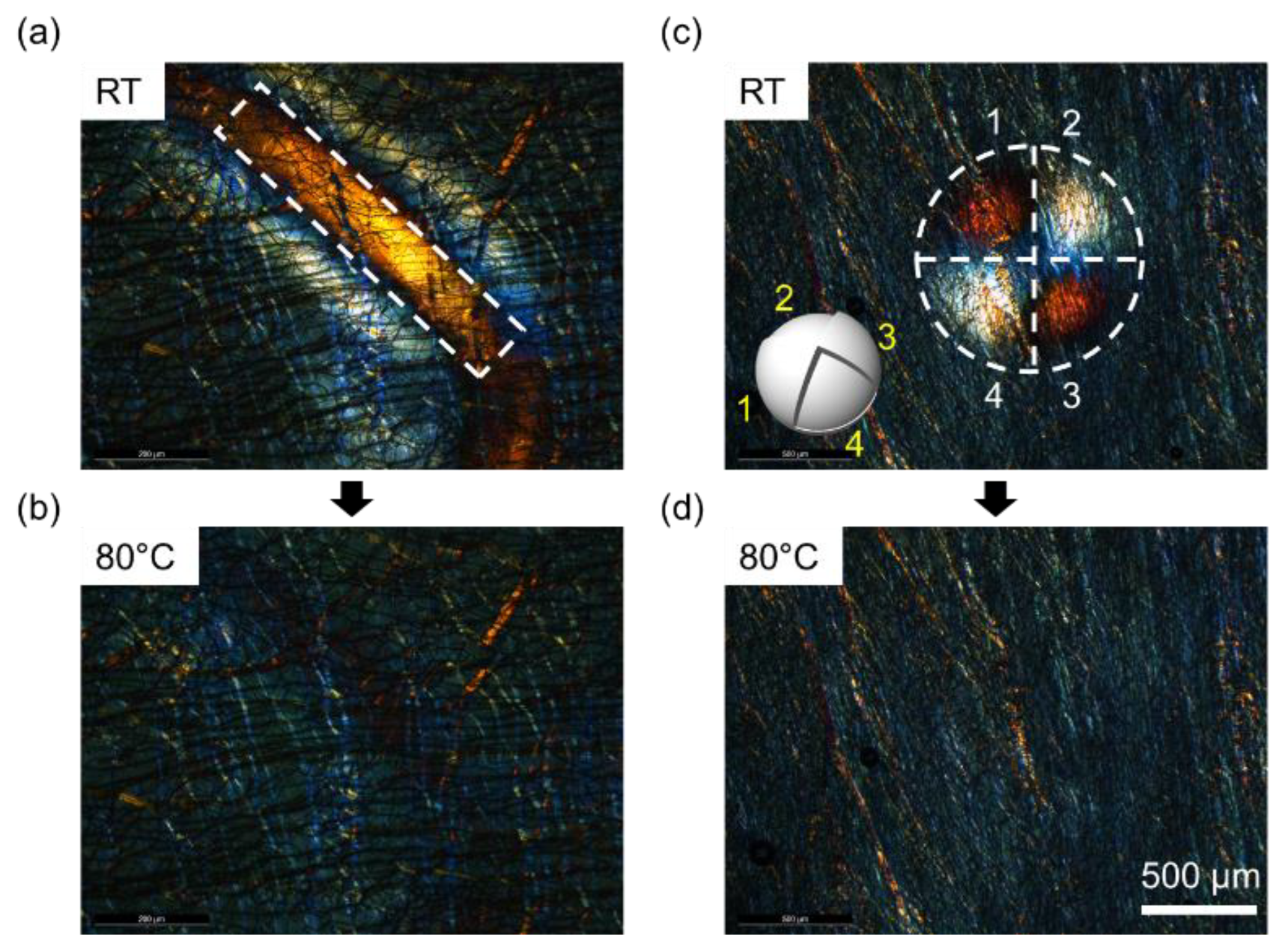 Materials 16 00035 g005