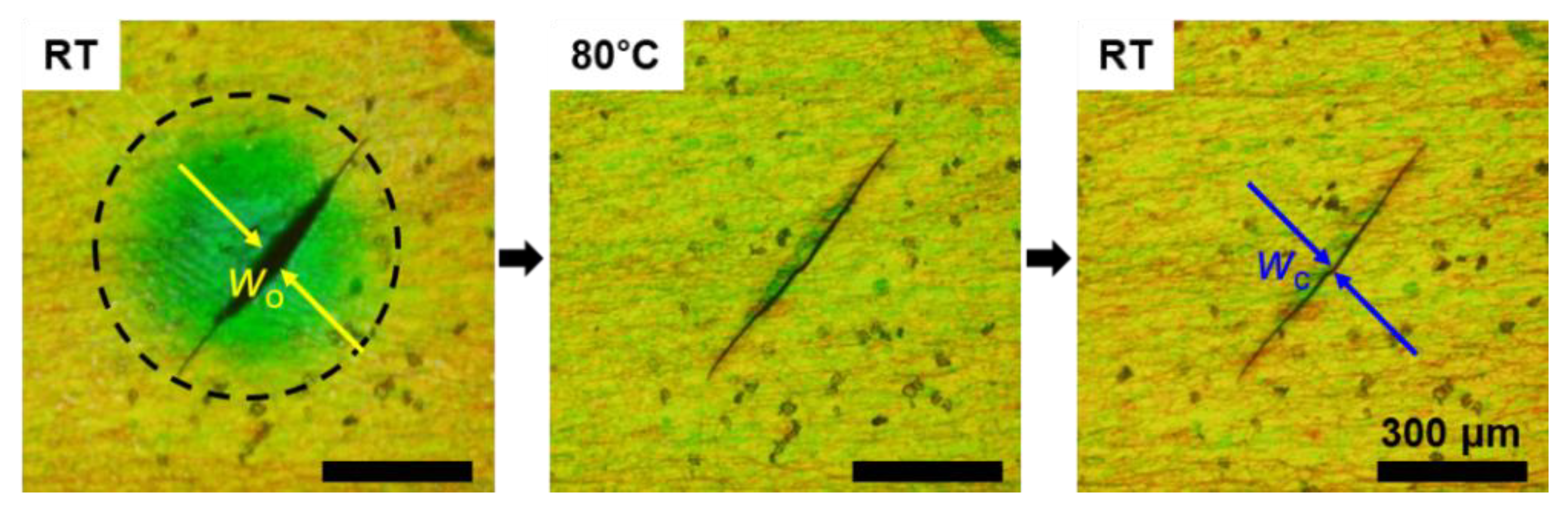 Materials 16 00035 g006