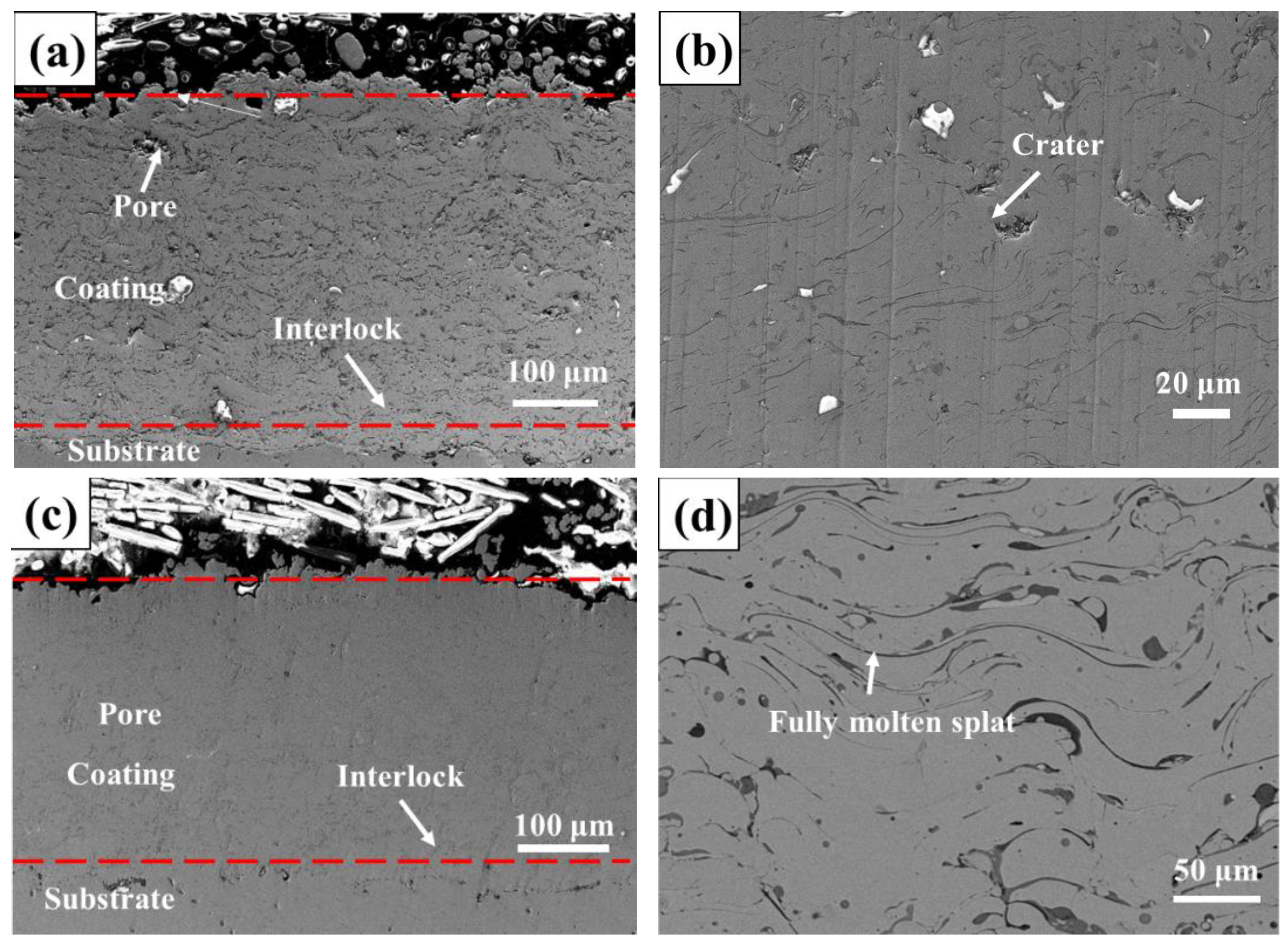 Materials 16 00055 g005