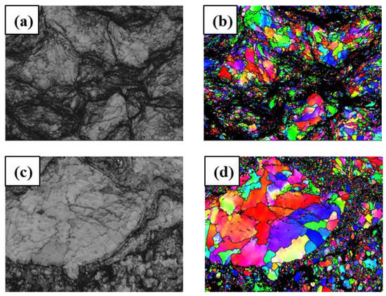 Microstructure and Corrosive Wear Properties of CoCrFeNiMn
