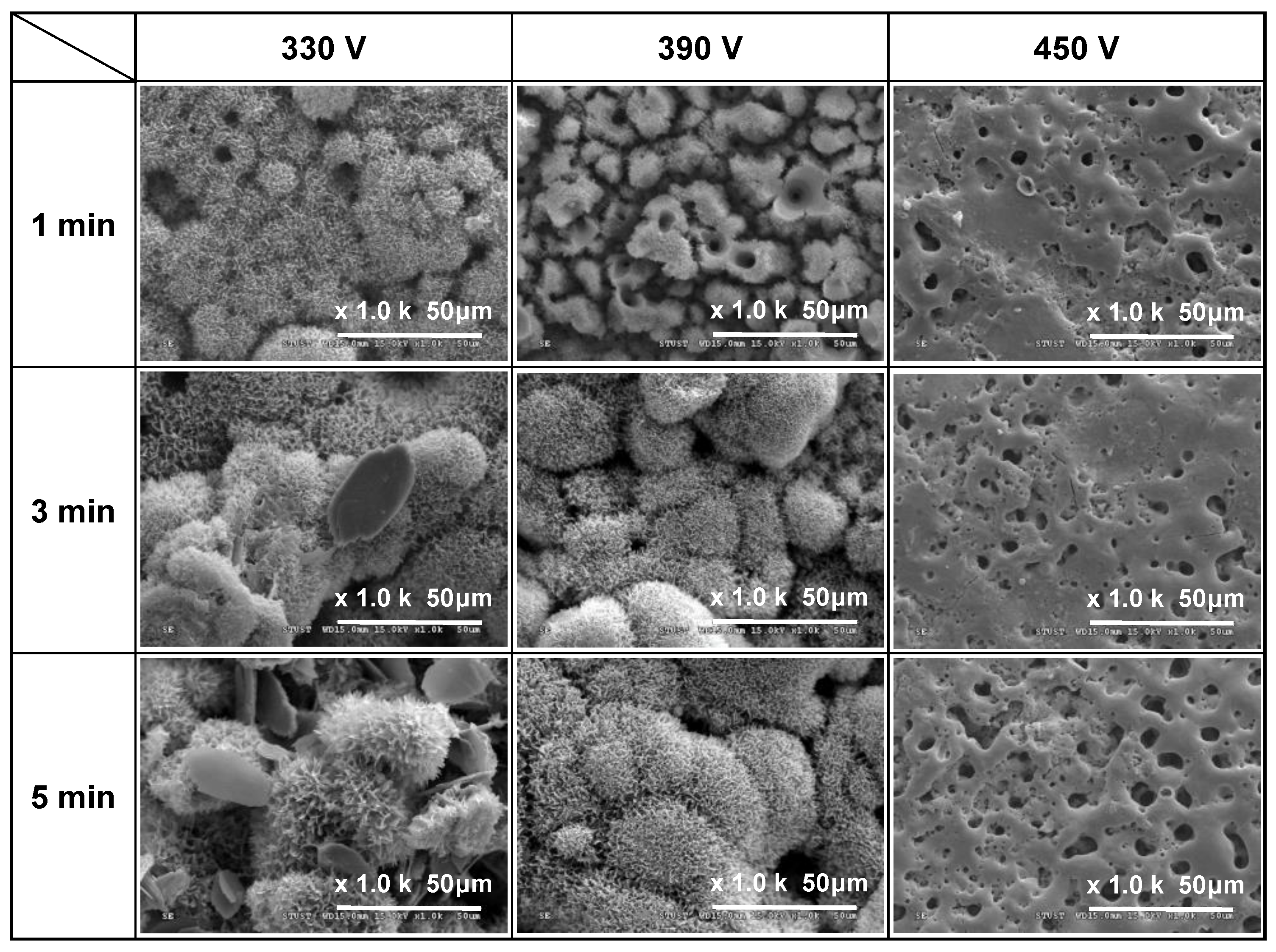 Materials 16 00057 g002