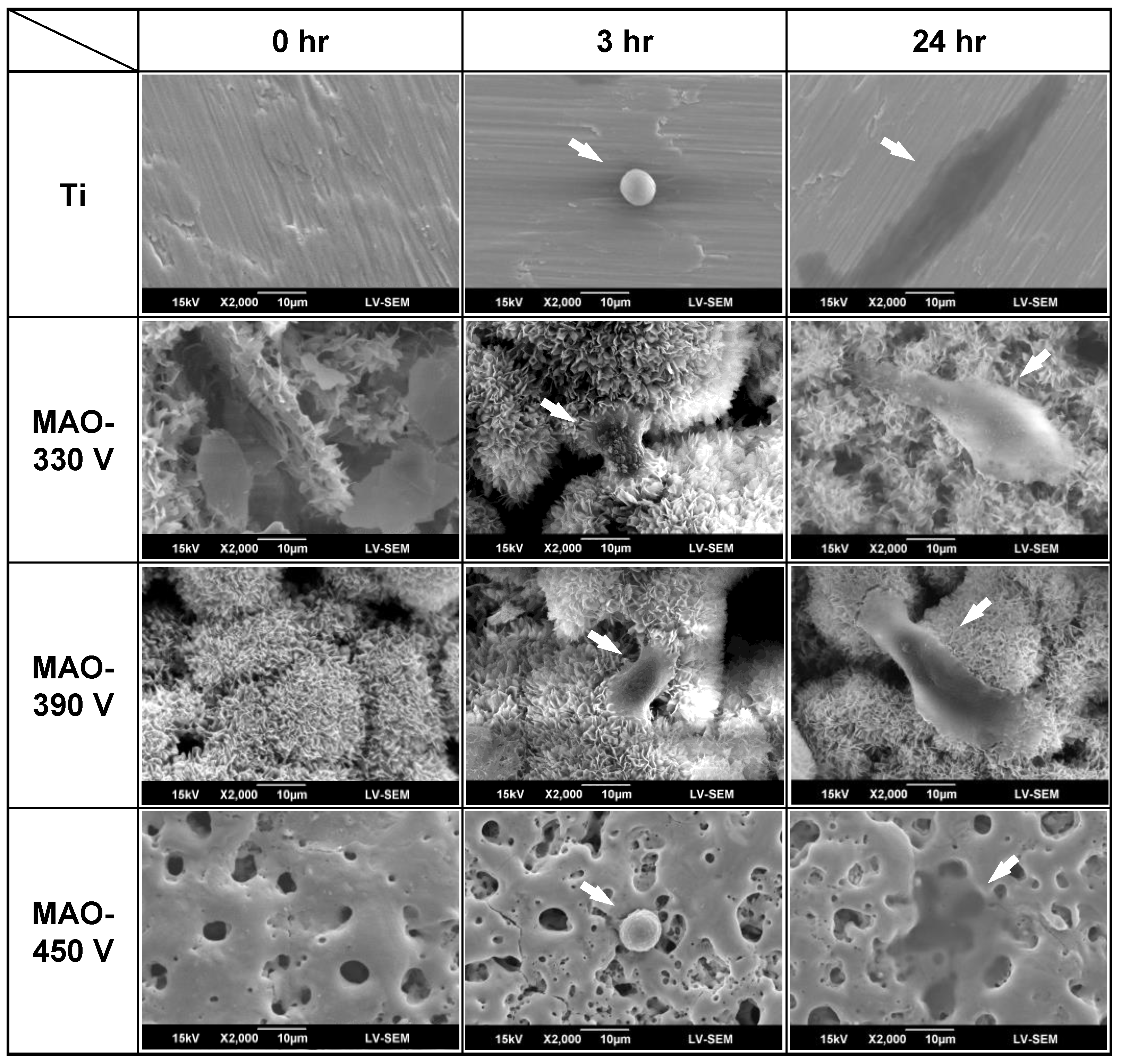 Materials 16 00057 g014