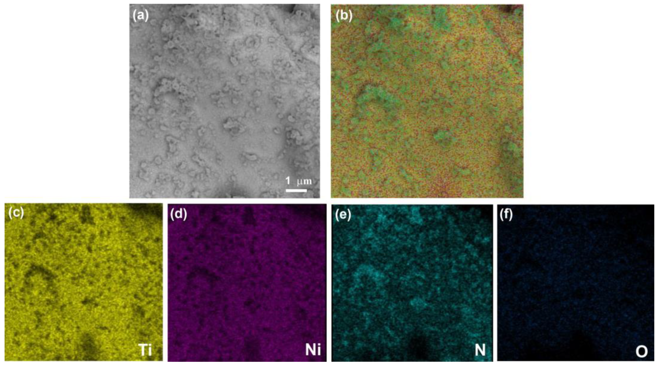 Materials 16 00066 g005 Materials 16 00066 g005