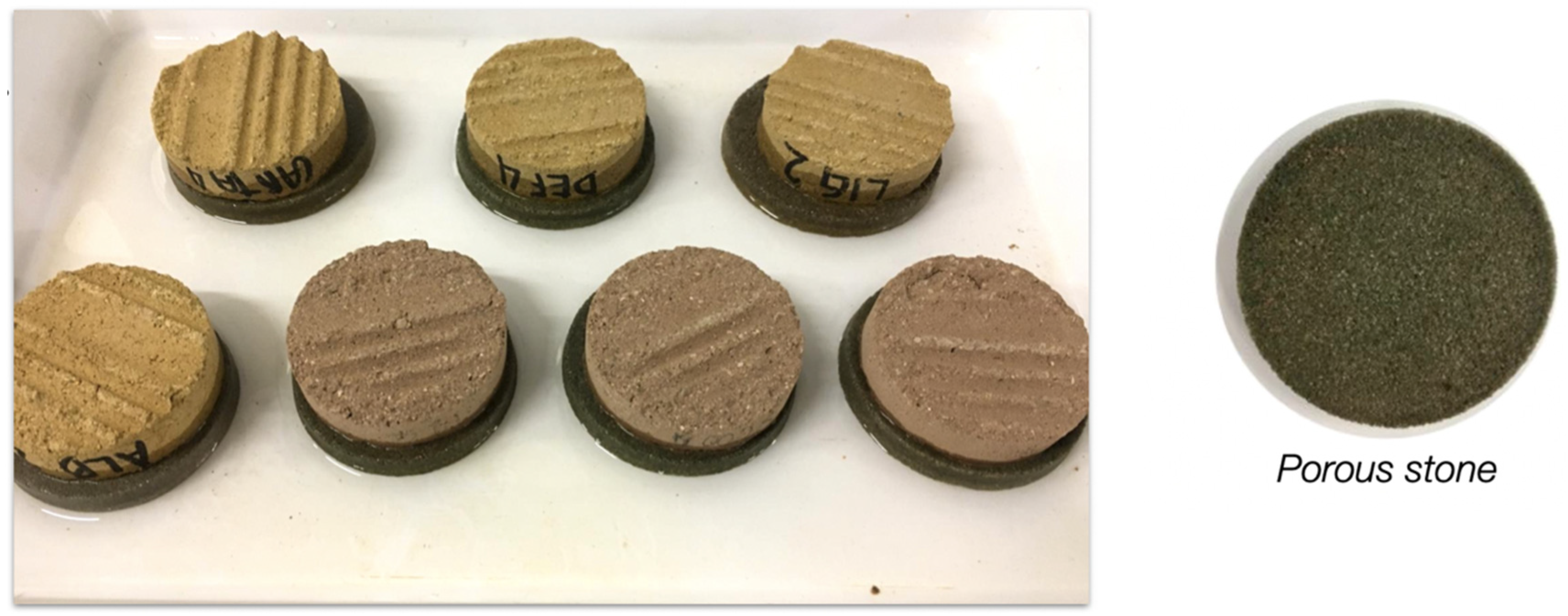 Materials 16 00074 g002 Materials 16 00074 g002