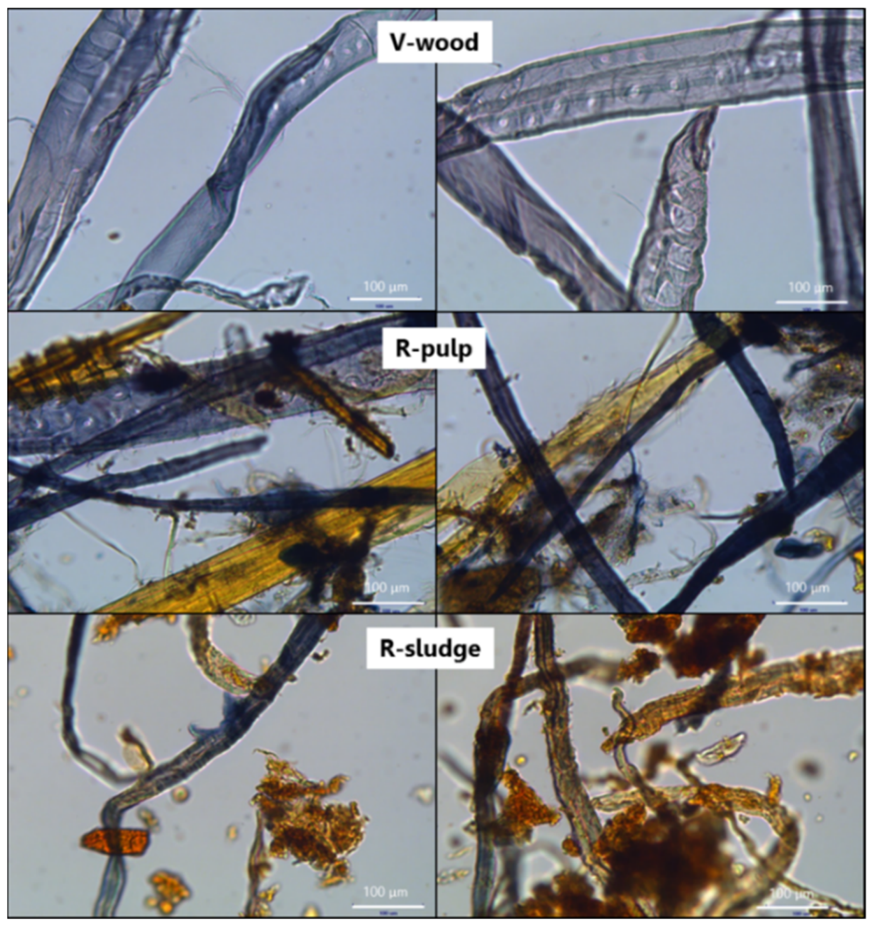 Materials 16 00074 g003 Materials 16 00074 g003