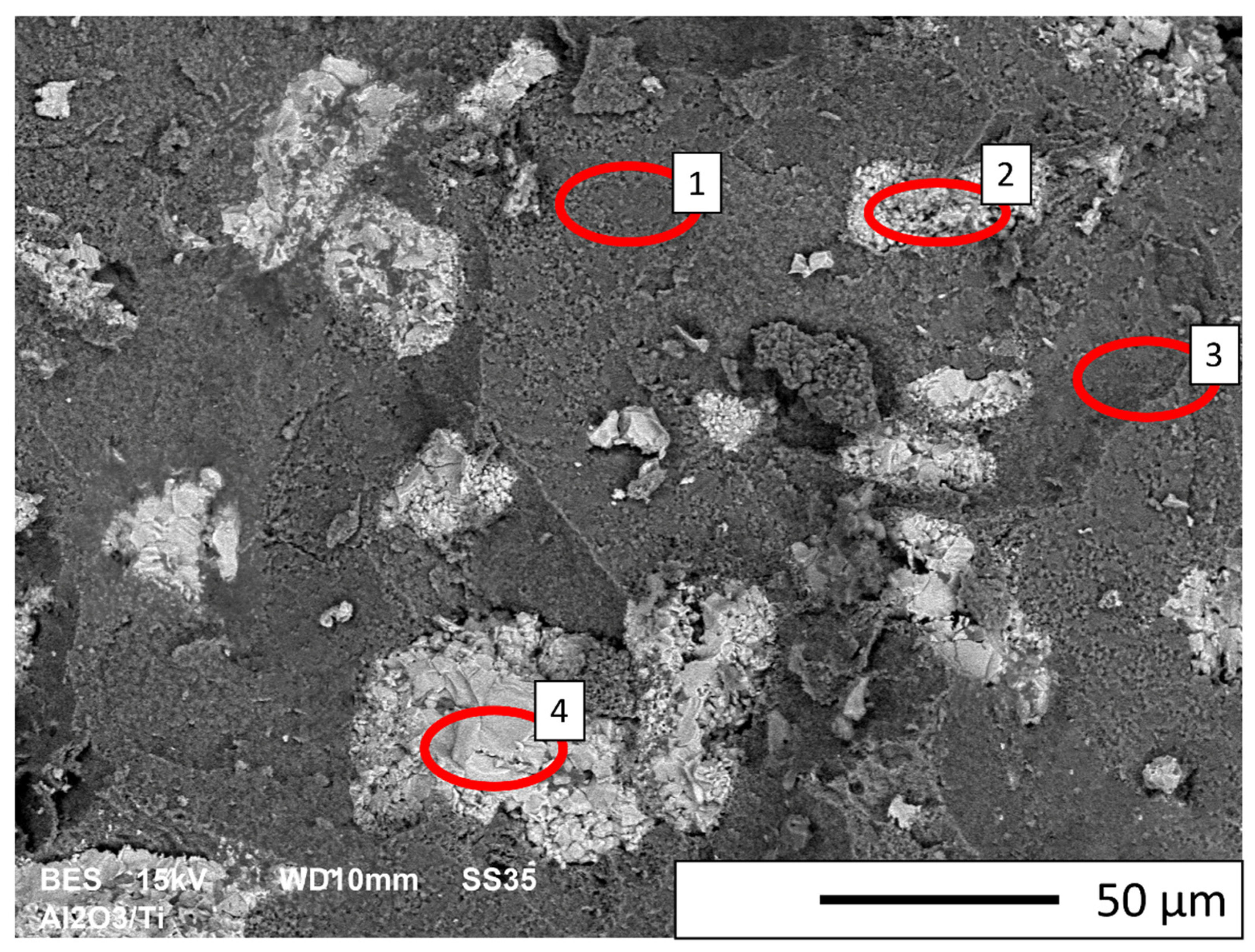 Materials 16 00079 g008 Materials 16 00079 g008