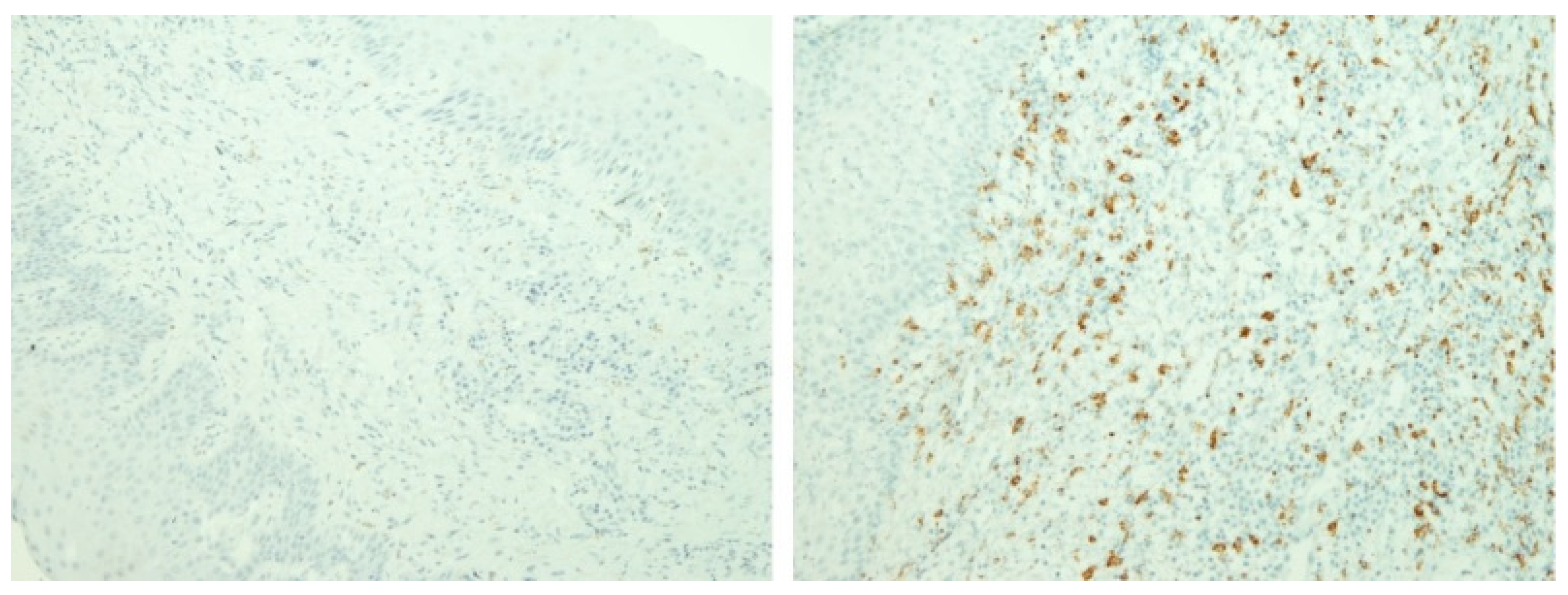 Materials 16 00081 g003 Materials 16 00081 g003