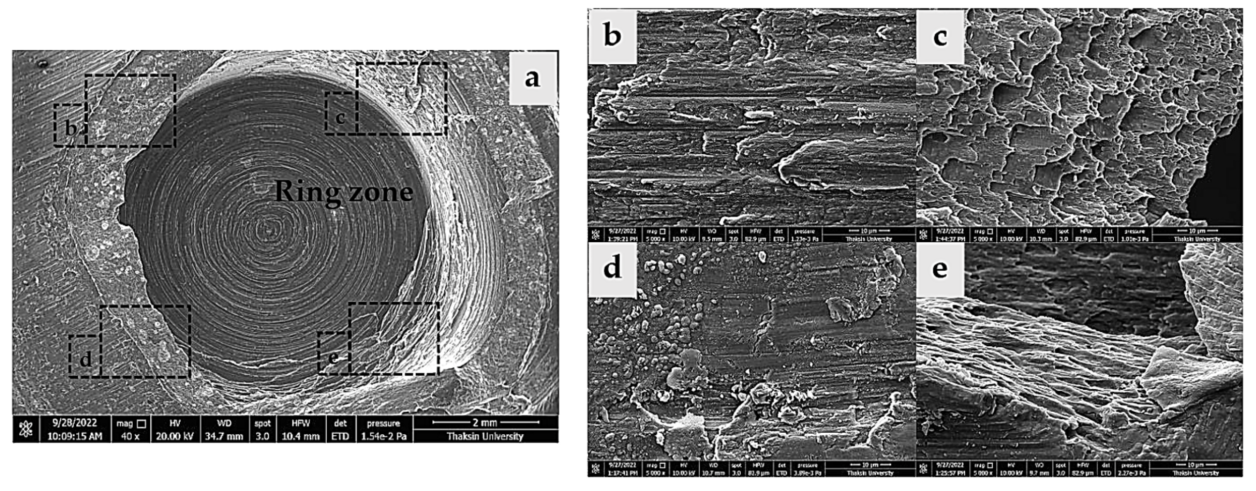 Materials 16 00085 g008 Materials 16 00085 g008