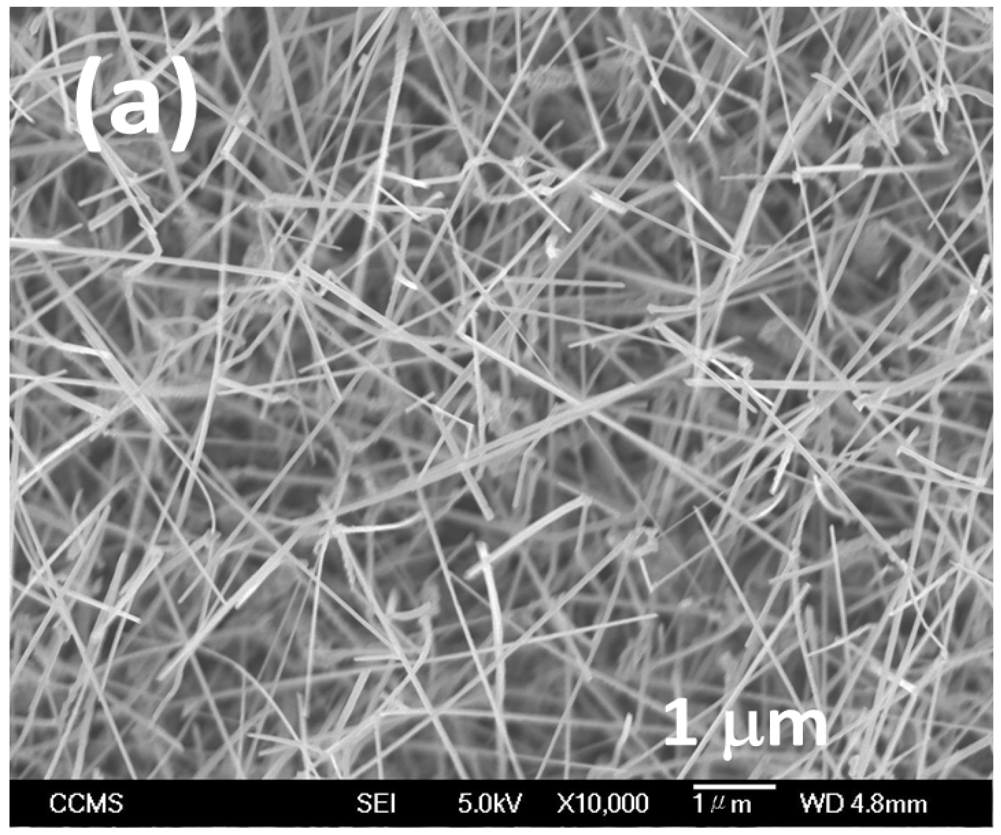 Materials 16 00097 g001a Materials 16 00097 g001a