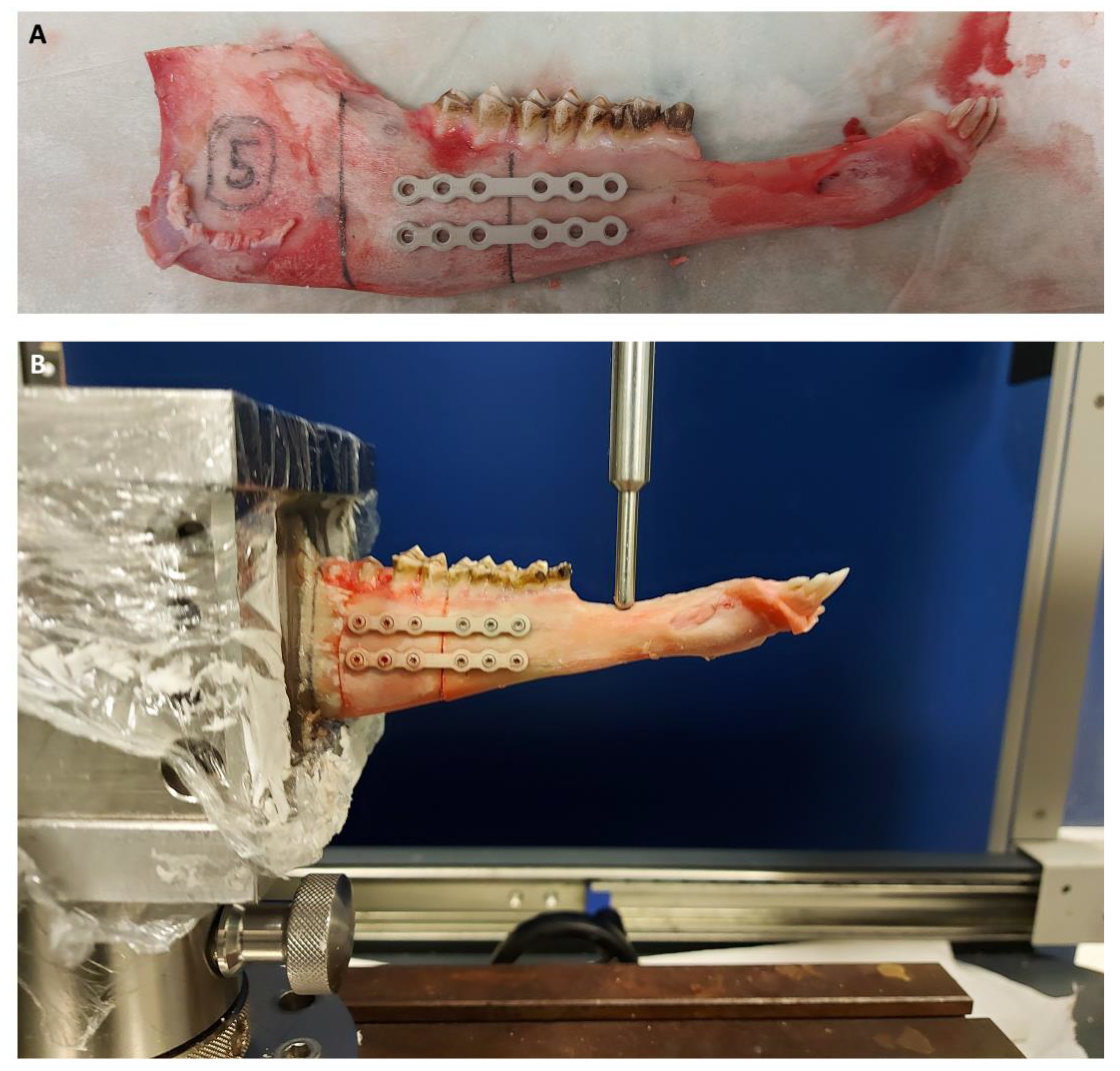 Materials 16 00102 g002