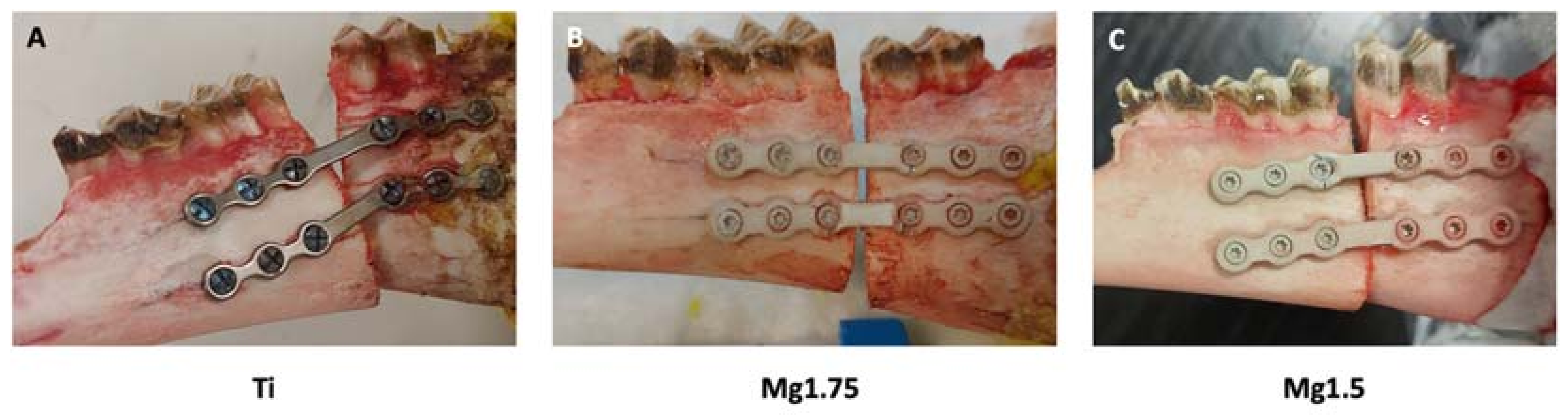 Materials 16 00102 g004