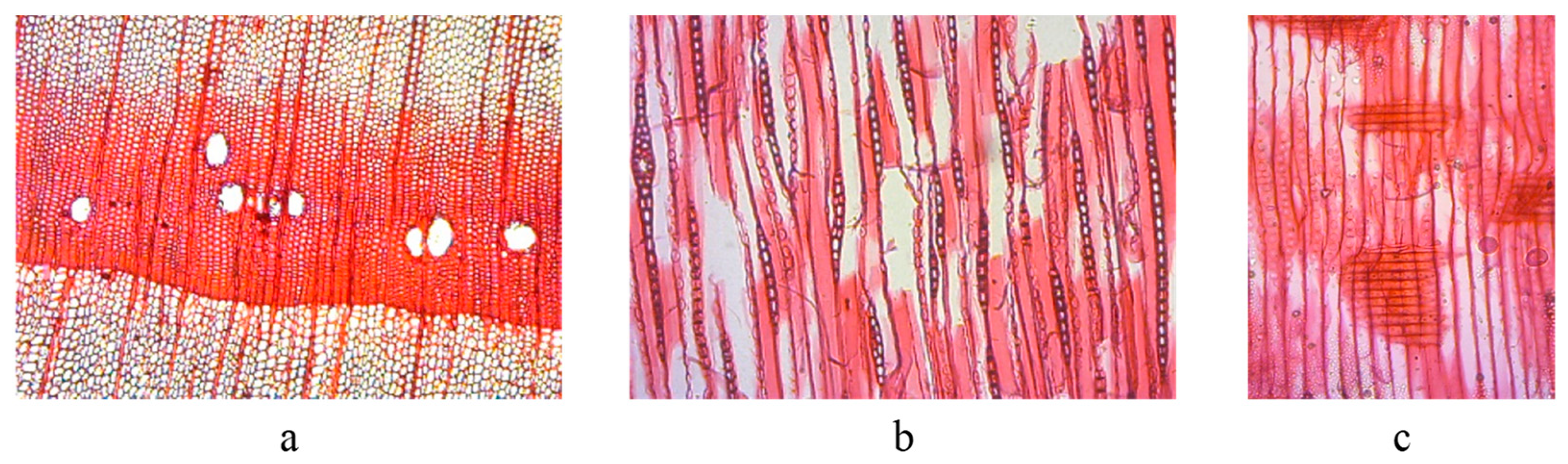 Materials 16 00104 g002