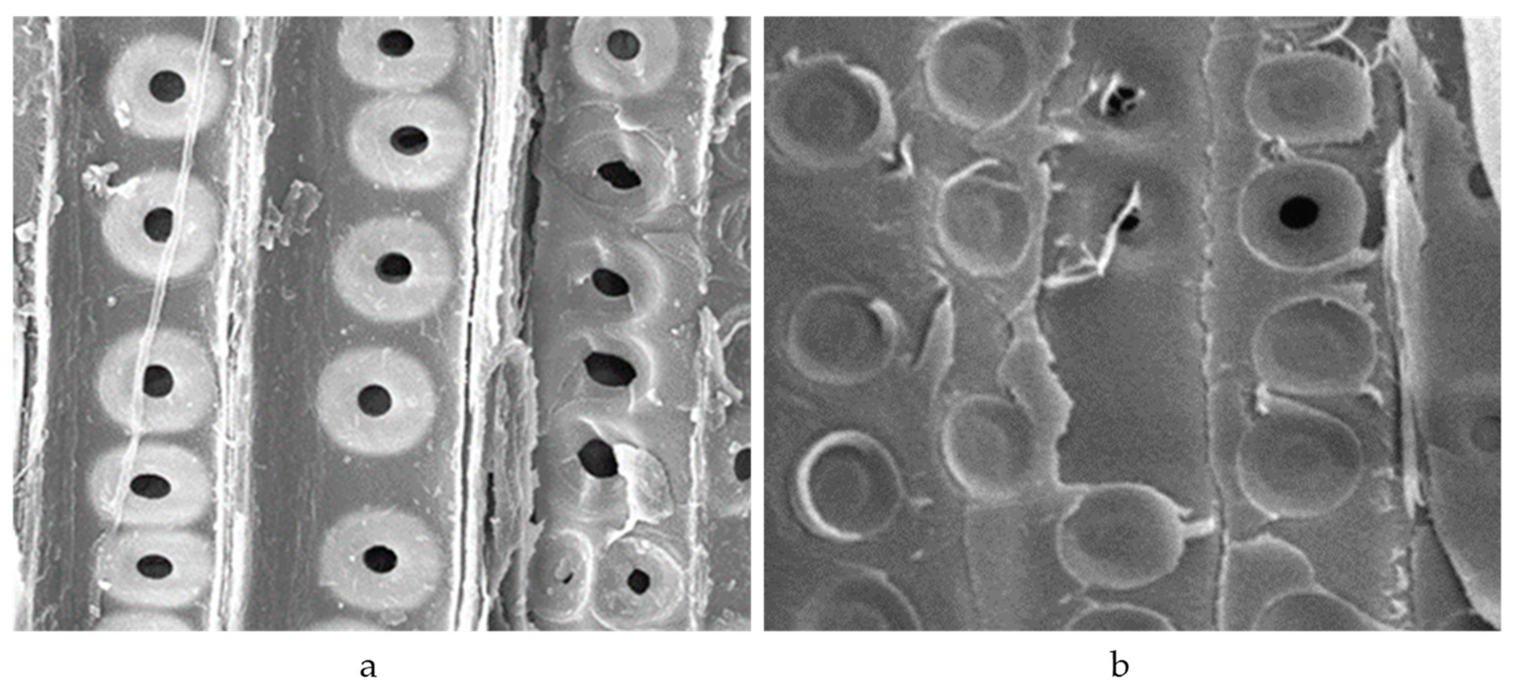 Materials 16 00104 g006