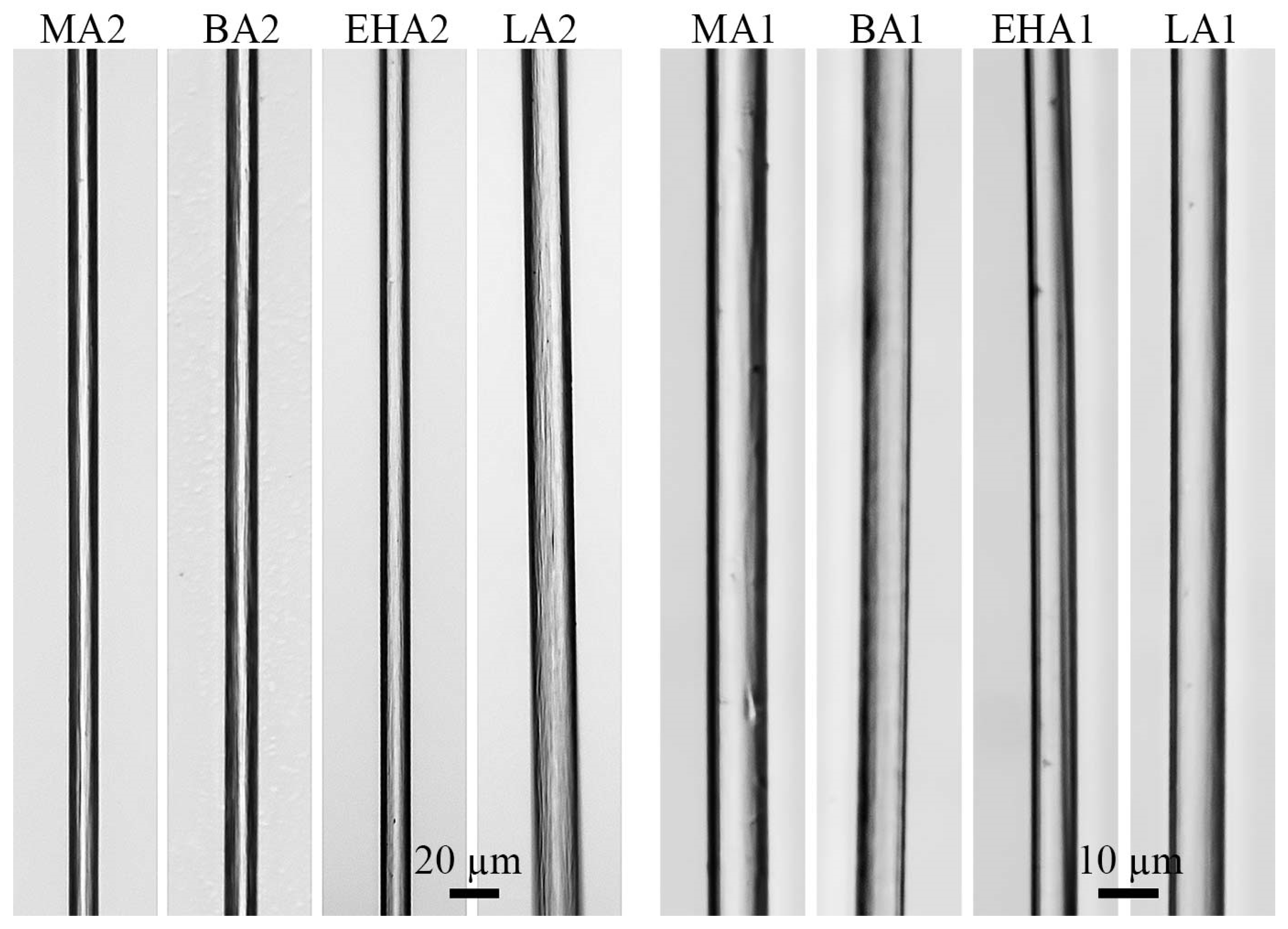 Materials 16 00107 g007