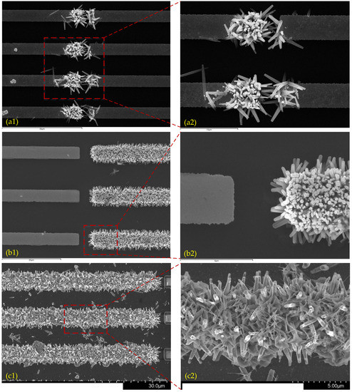 AC/DC Electric-Field-Assisted Growth of ZnO Nanowires for Gas Discharge