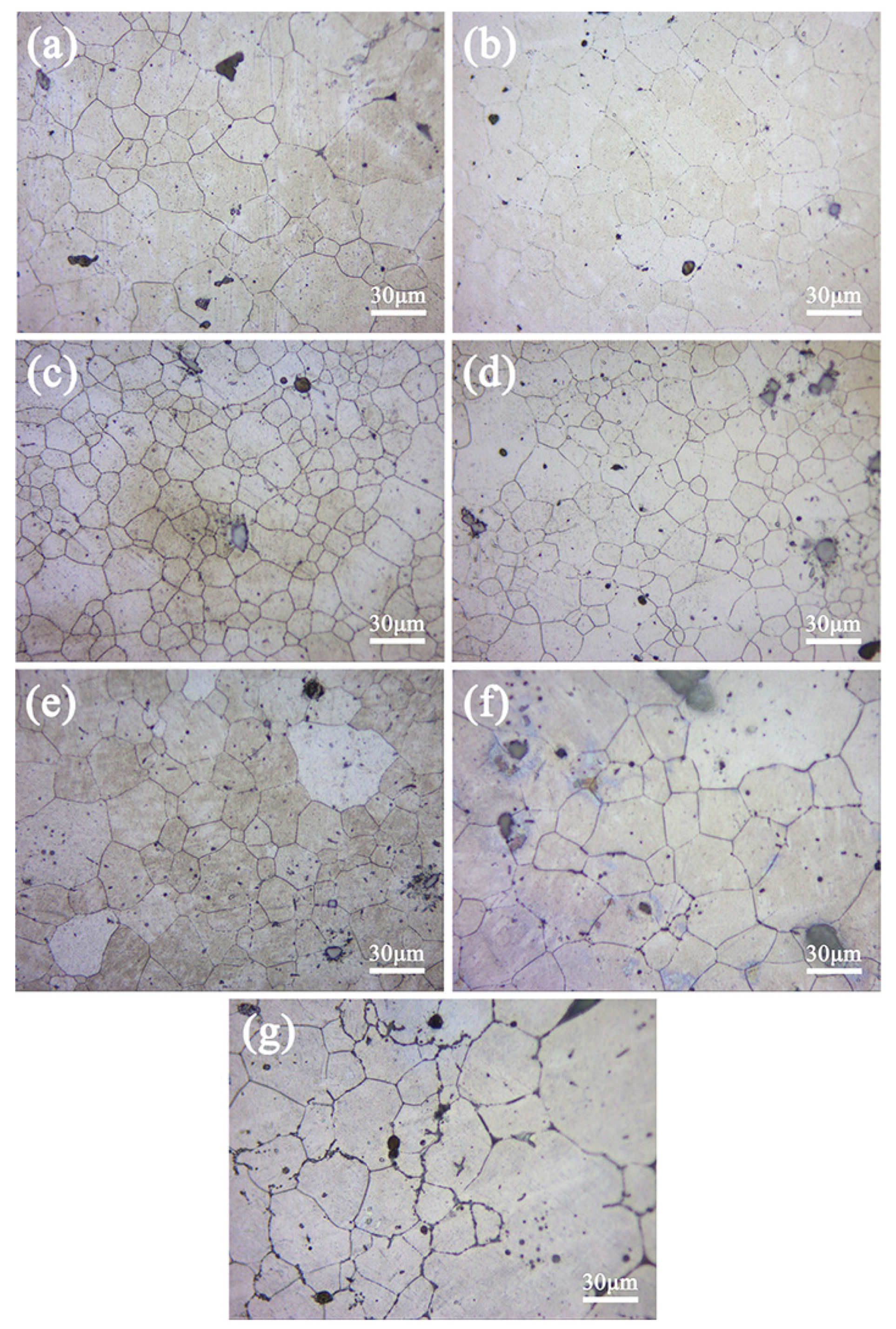 Materials 16 00109 g003 Materials 16 00109 g003