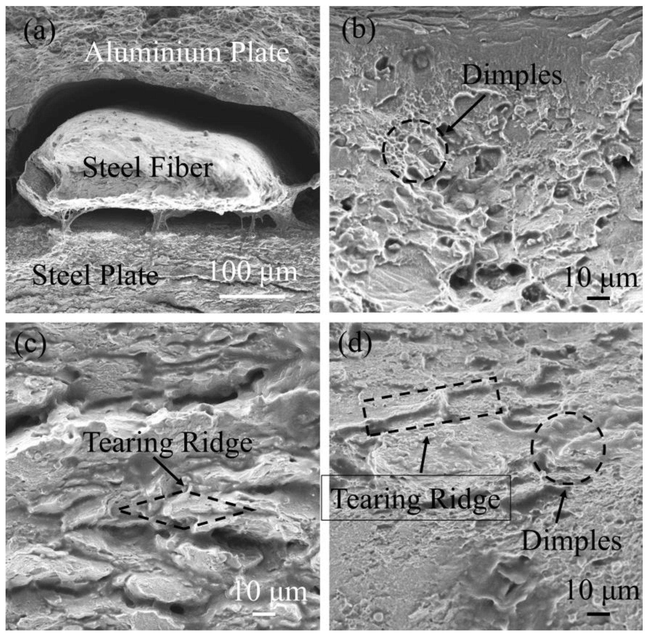 Materials 16 00116 g014 Materials 16 00116 g014