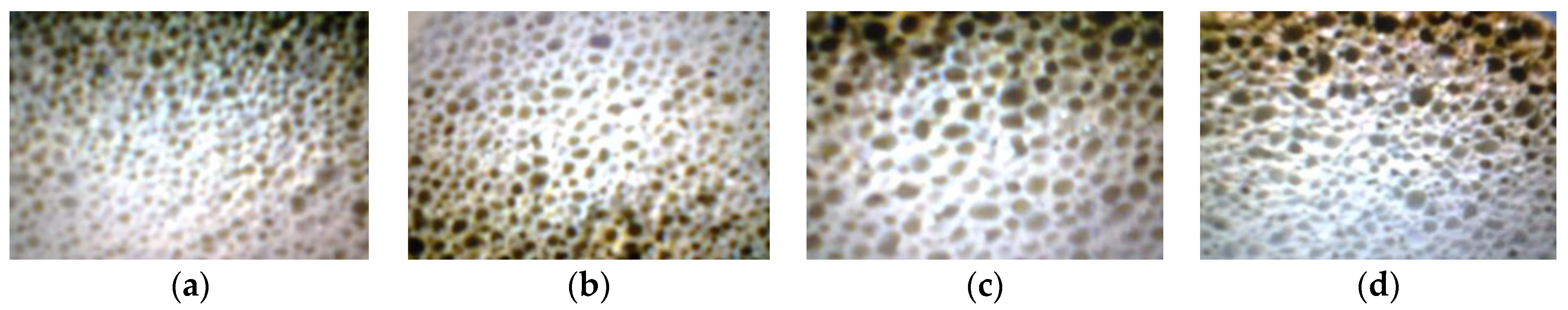 Materials 16 00118 g003 Materials 16 00118 g003