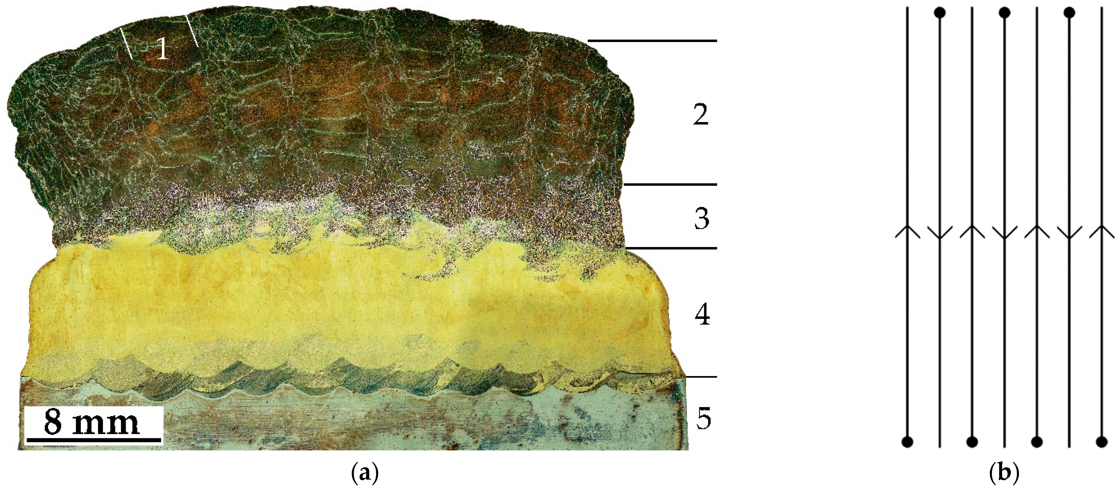Materials 16 00123 g002