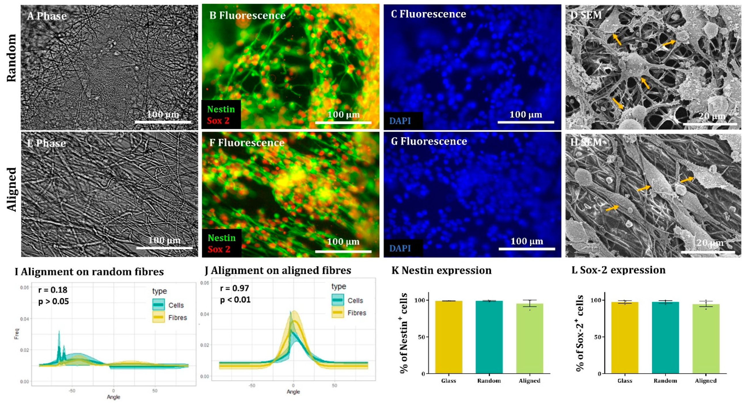 Materials 16 00124 g002