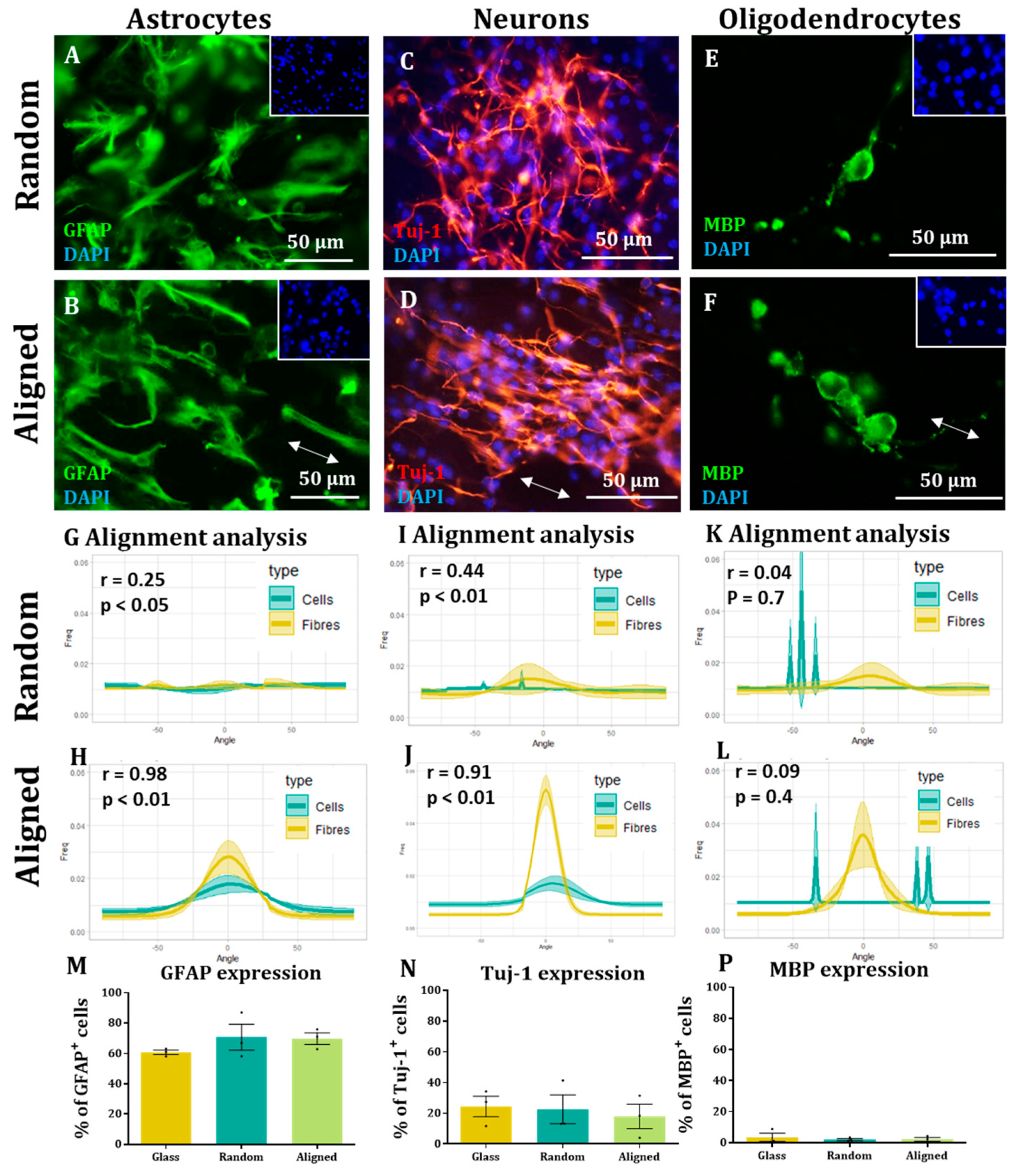 Materials 16 00124 g003