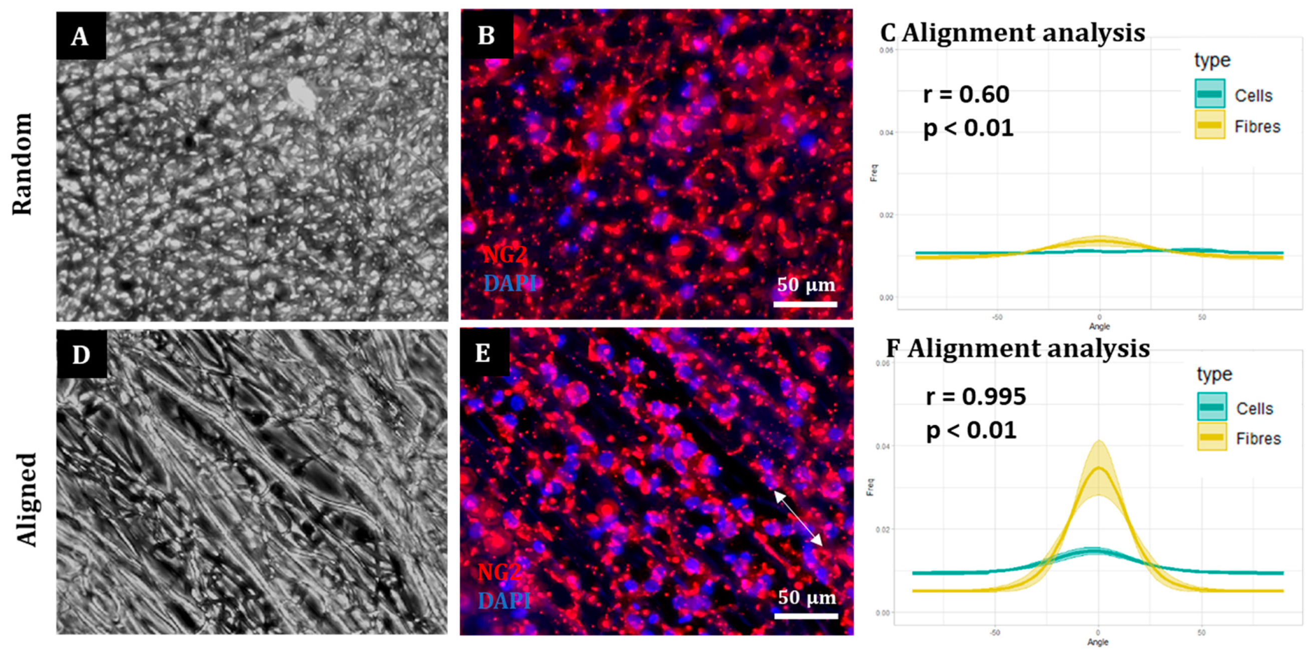 Materials 16 00124 g005