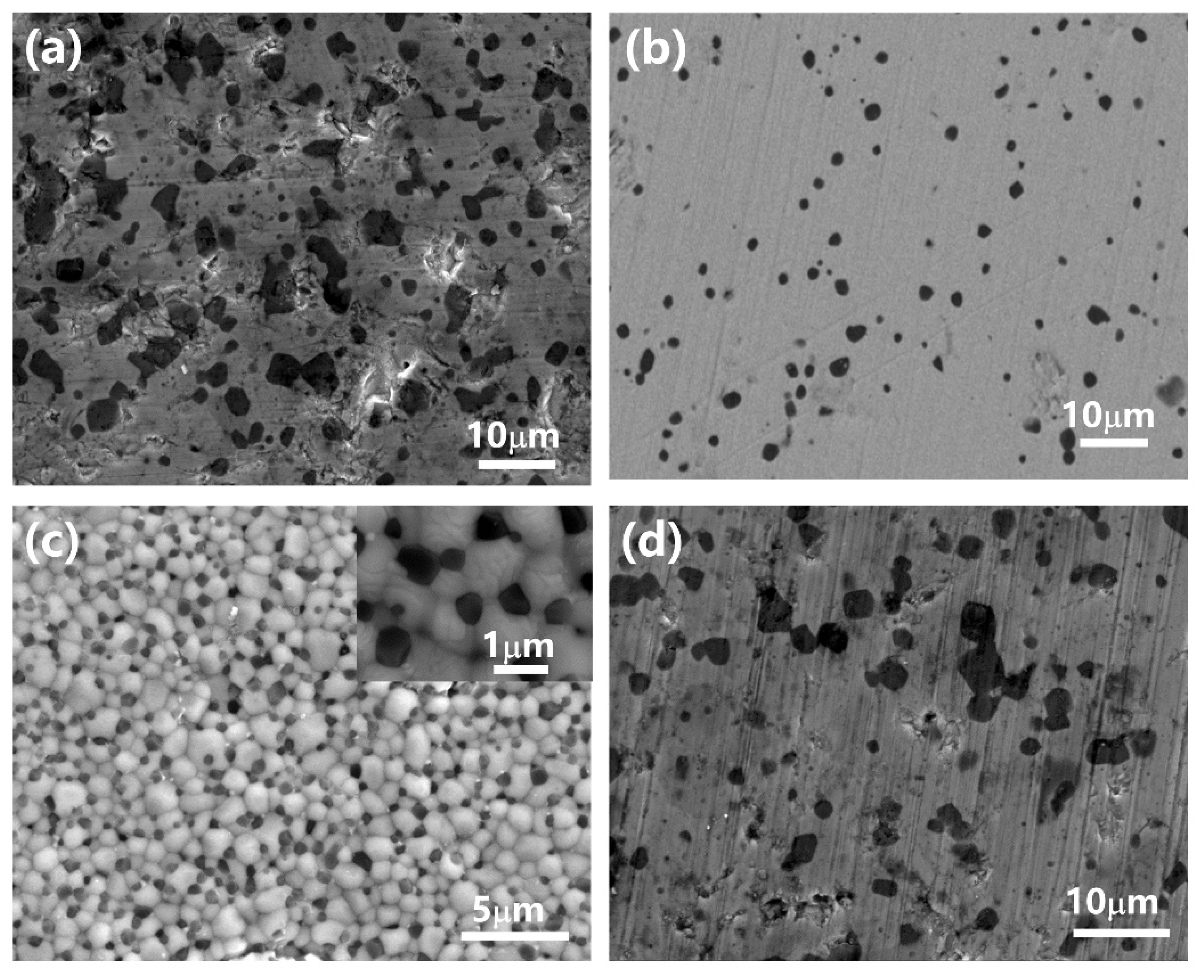 Materials 16 00126 g008