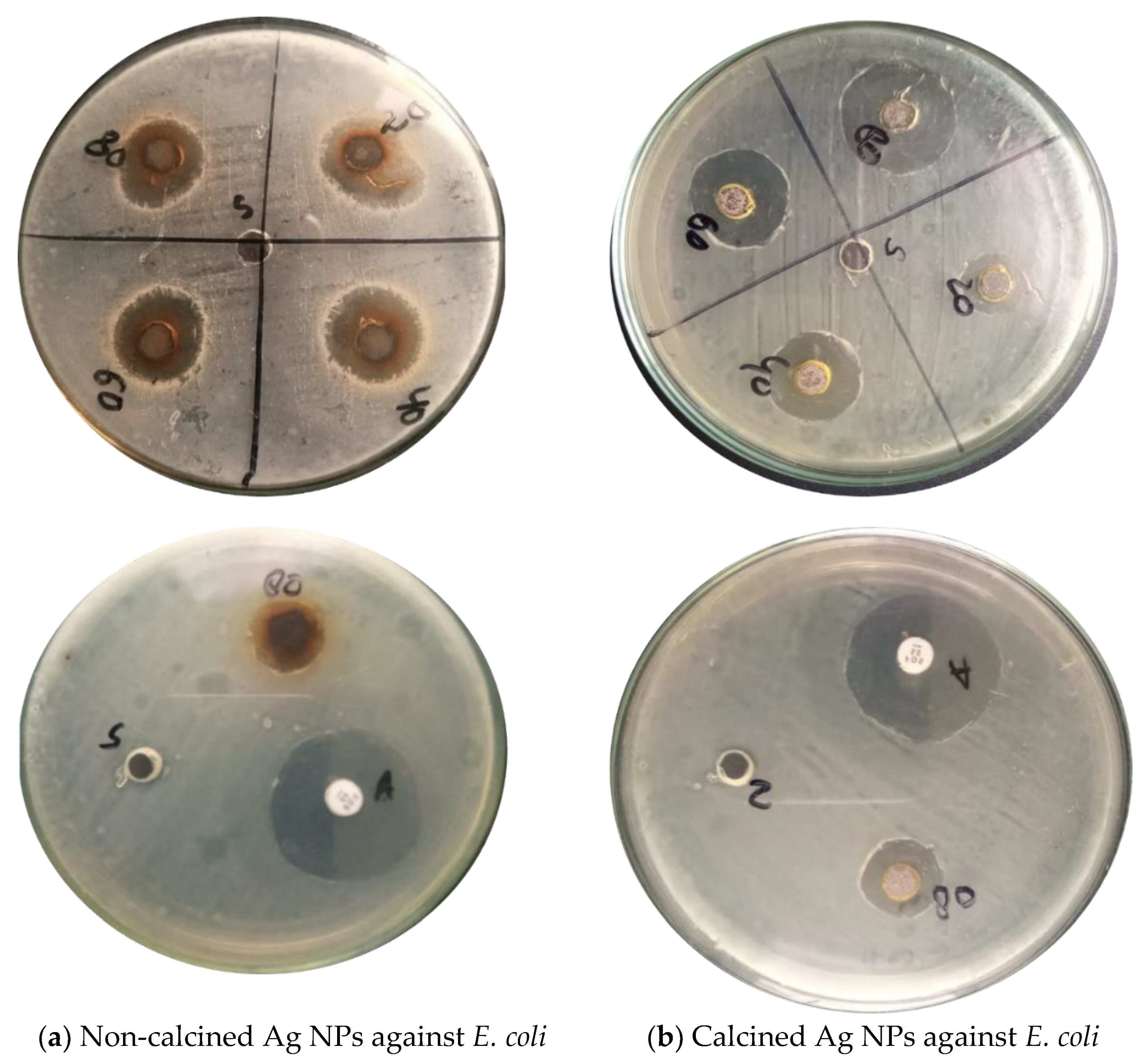 Materials 16 00129 g006 Materials 16 00129 g006