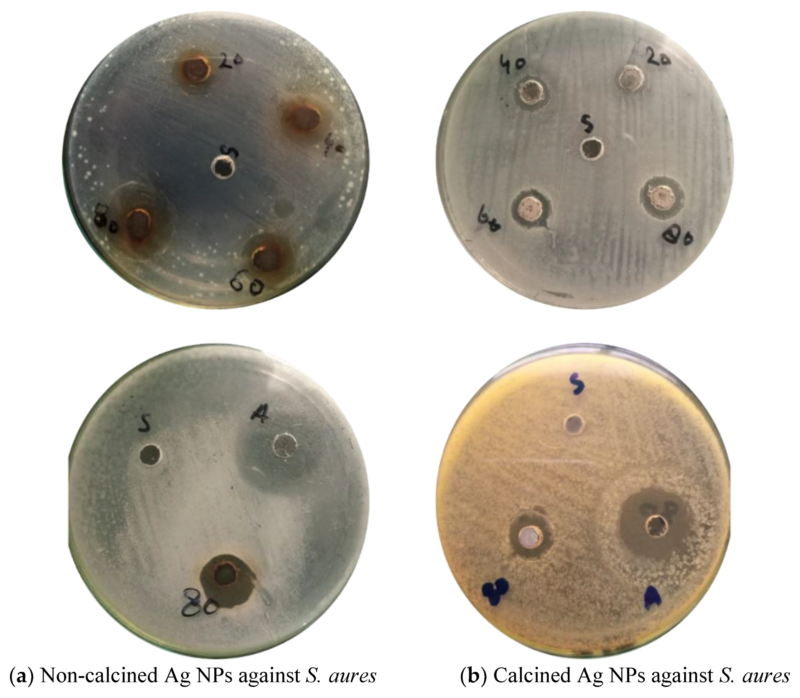 Materials 16 00129 g007 Materials 16 00129 g007