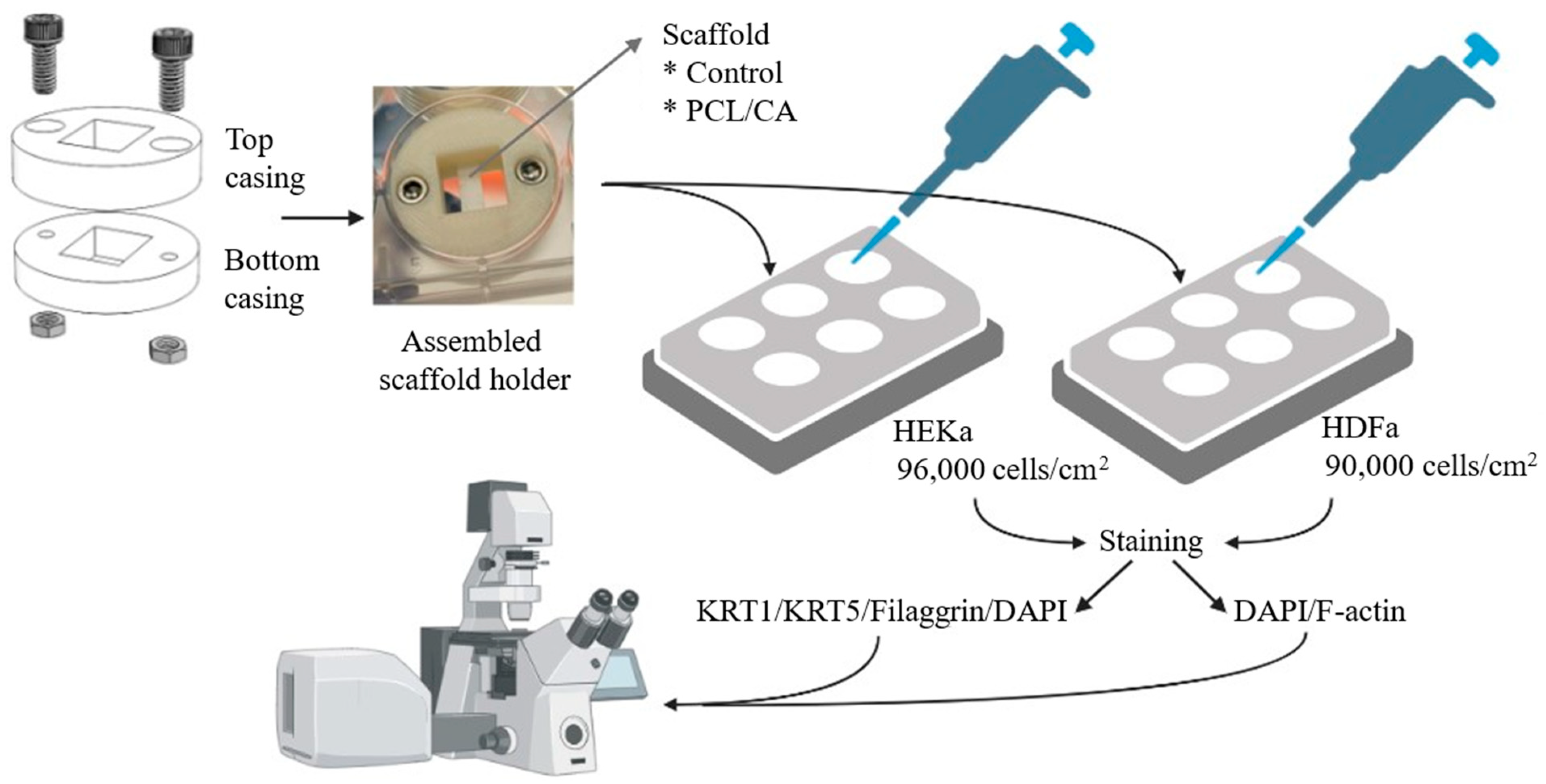 Materials 16 00136 g001 Materials 16 00136 g001