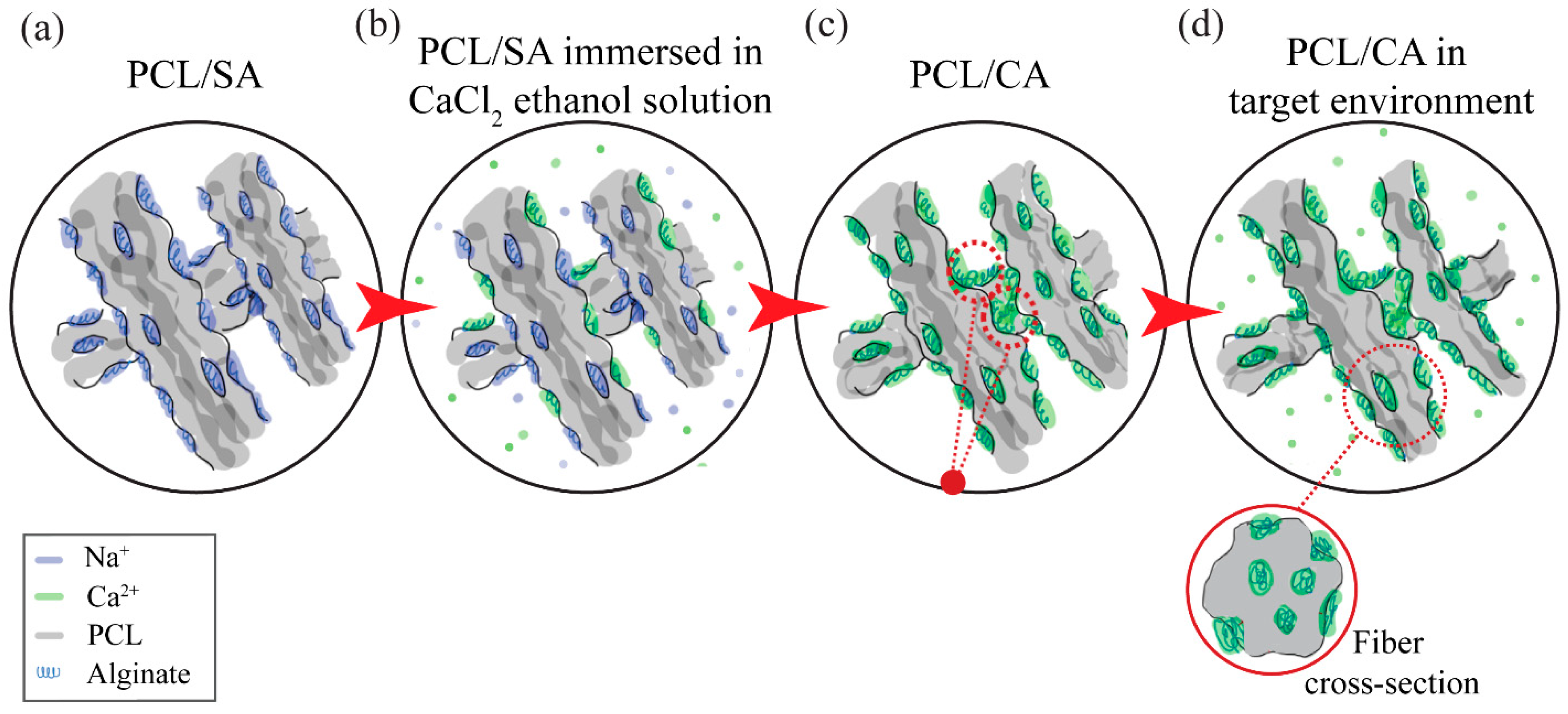 Materials 16 00136 g003 Materials 16 00136 g003