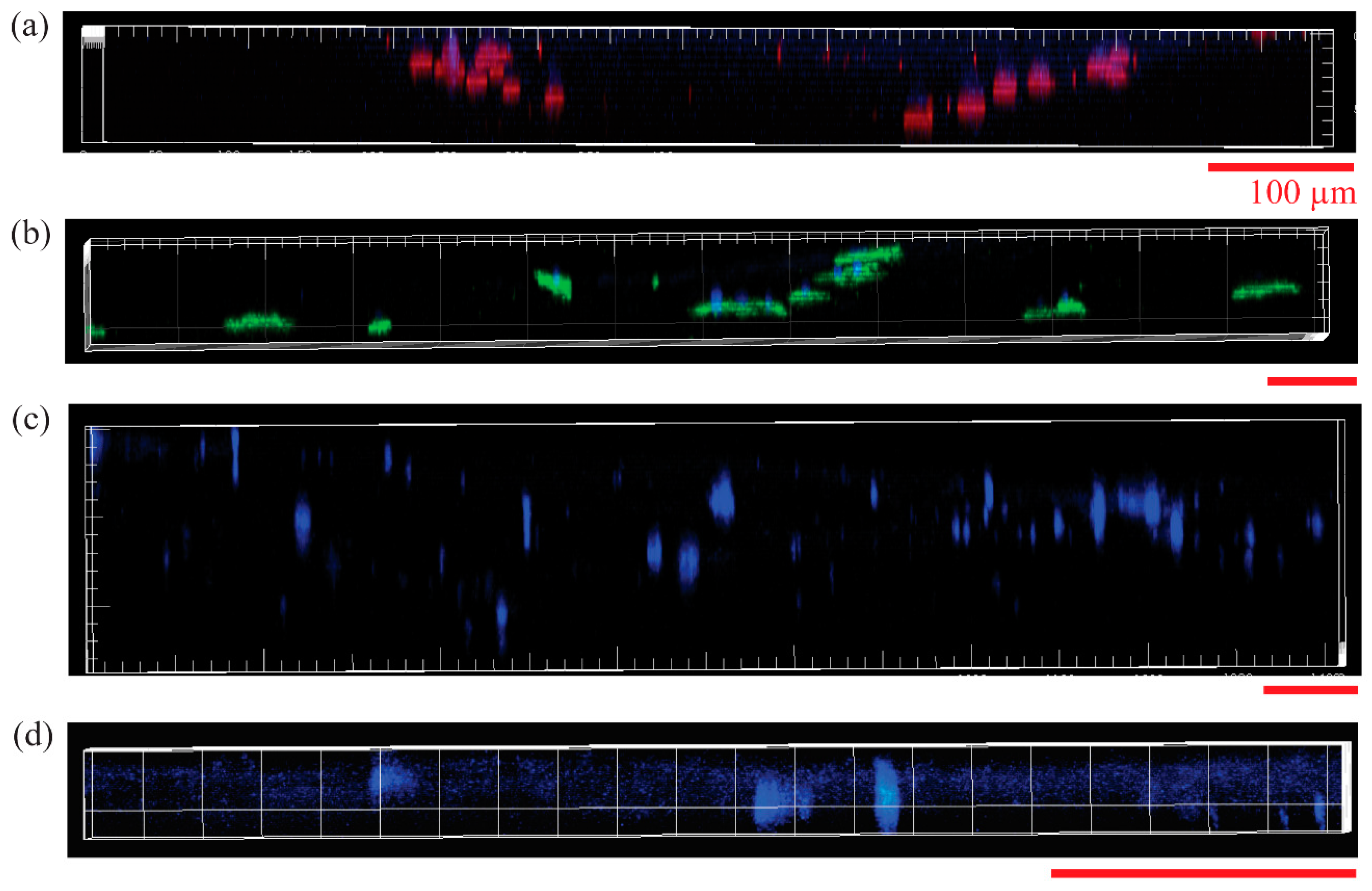 Materials 16 00136 g008 Materials 16 00136 g008
