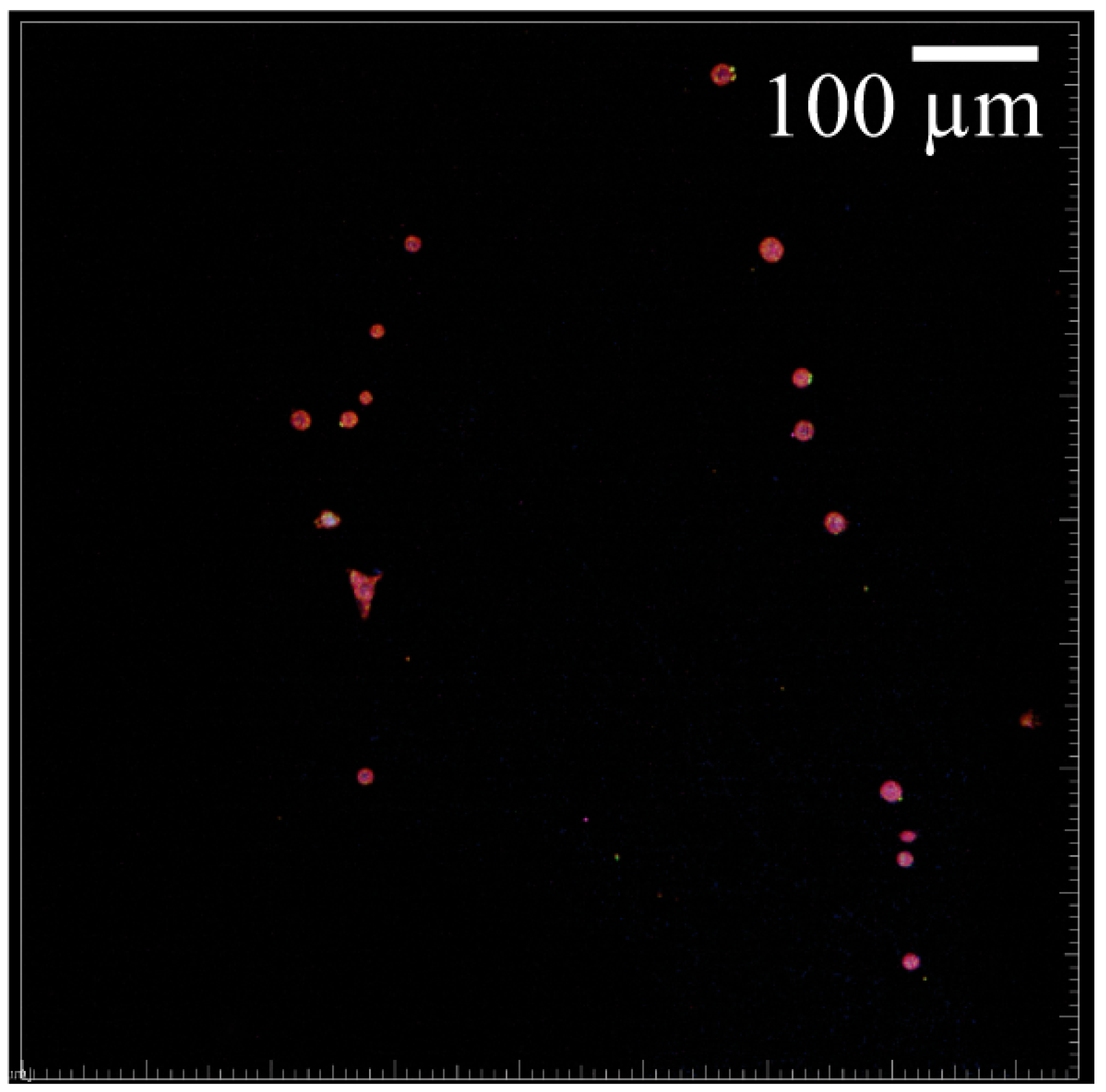 Materials 16 00136 g011 Materials 16 00136 g011