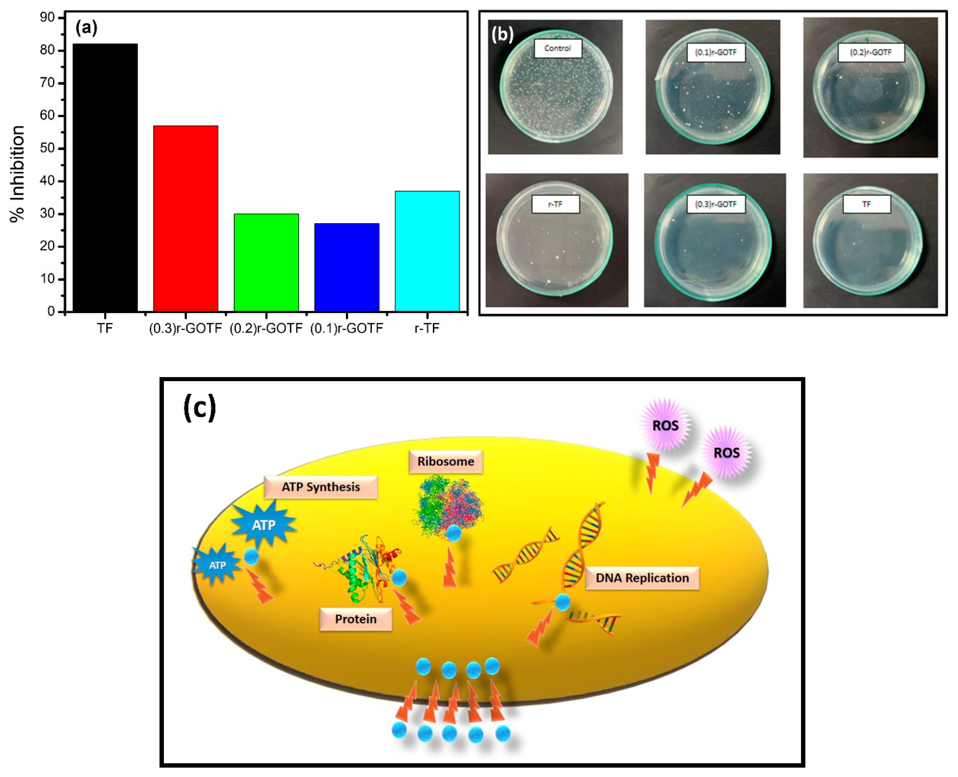 Materials 16 00139 g010