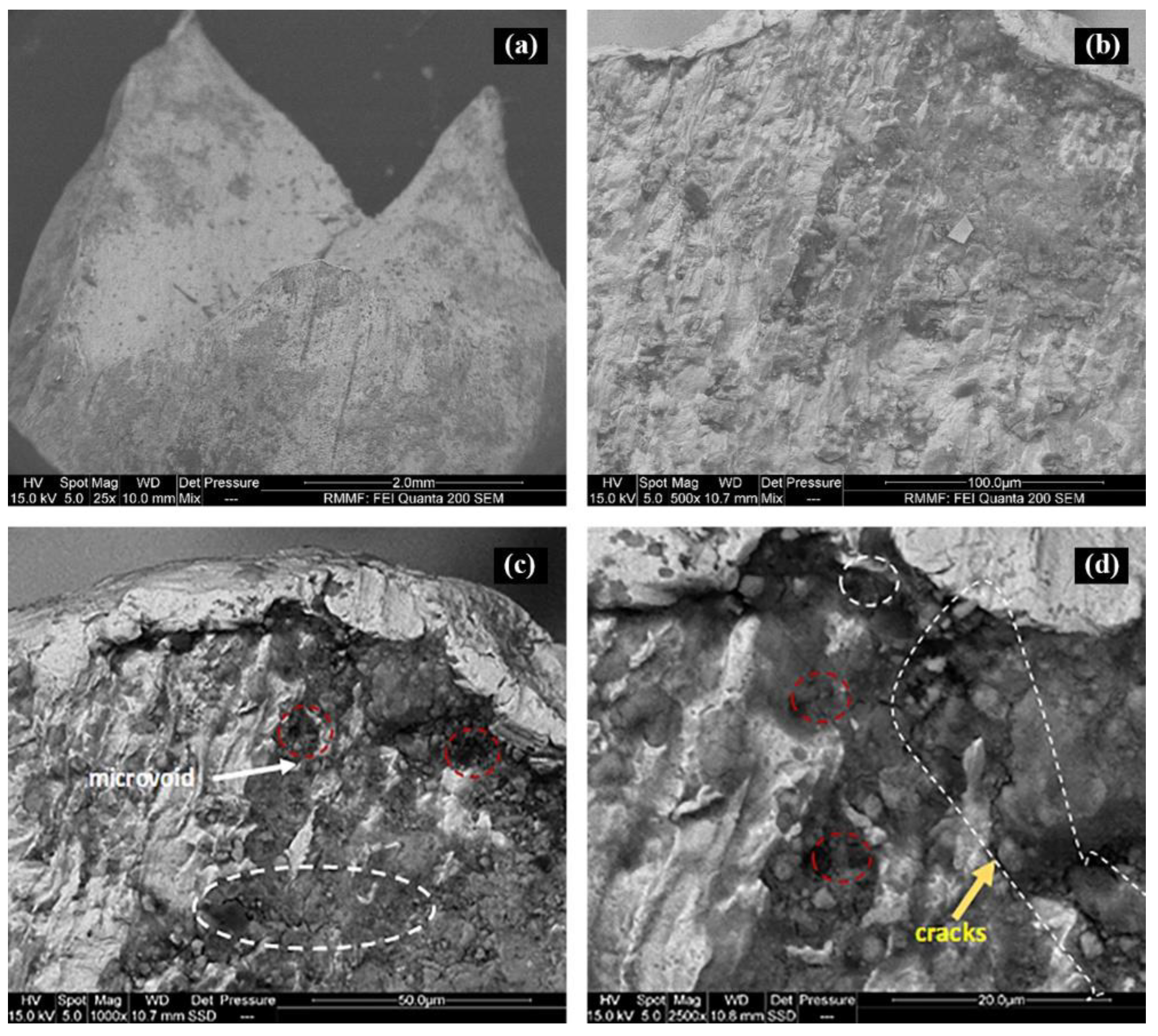 Materials 16 00149 g012 Materials 16 00149 g012