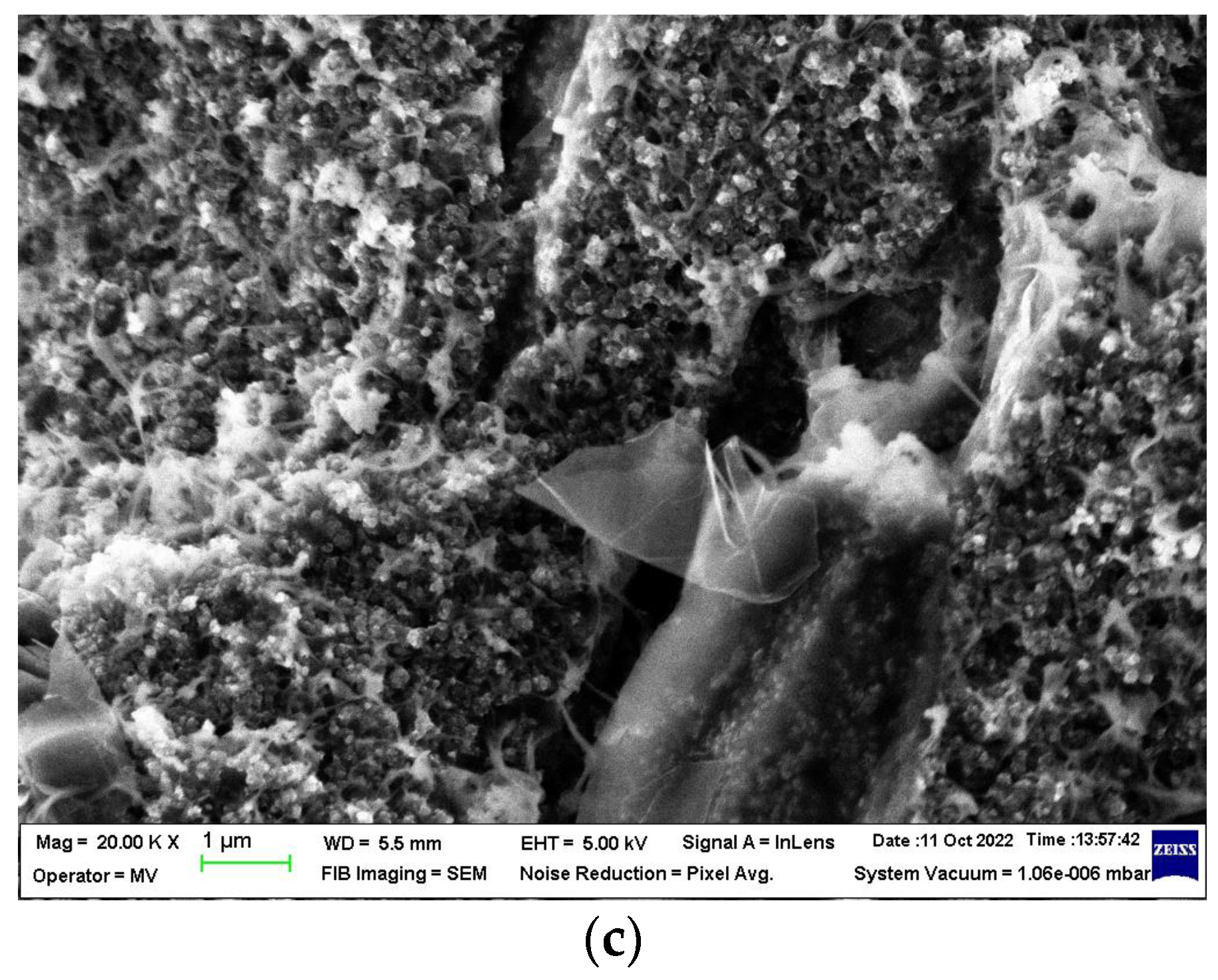 Materials 16 00157 g006b