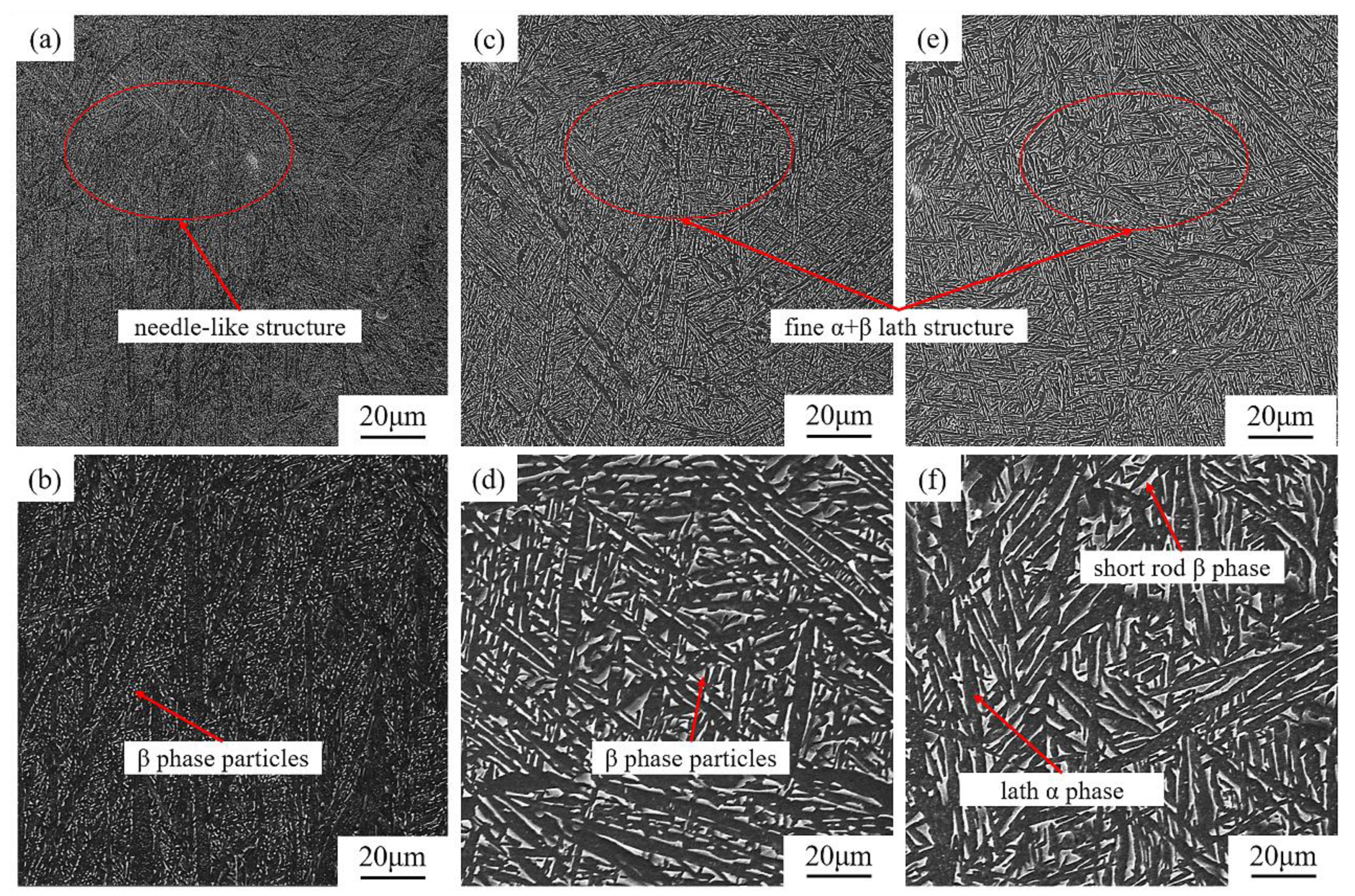 Materials 16 00160 g004
