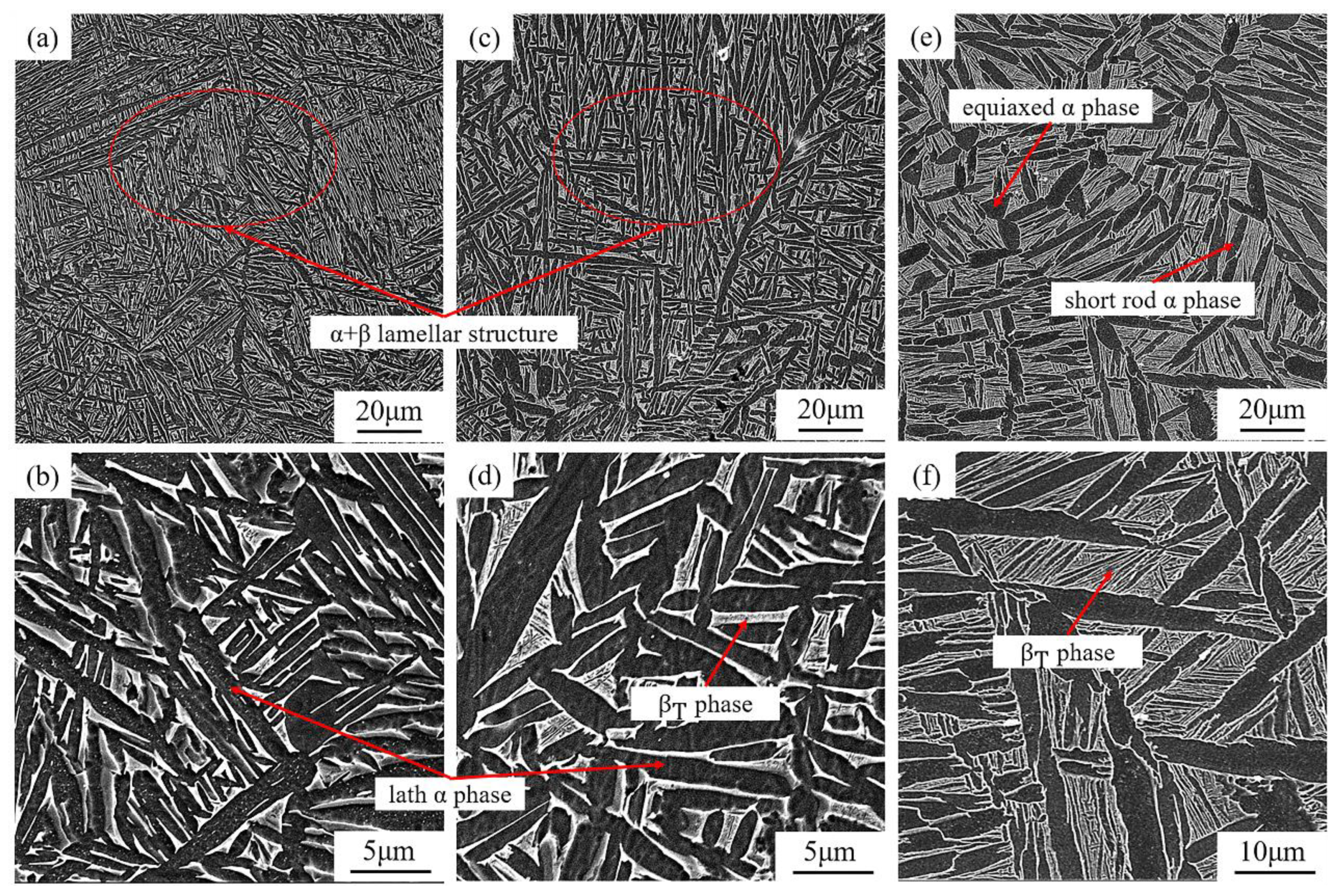 Materials 16 00160 g005