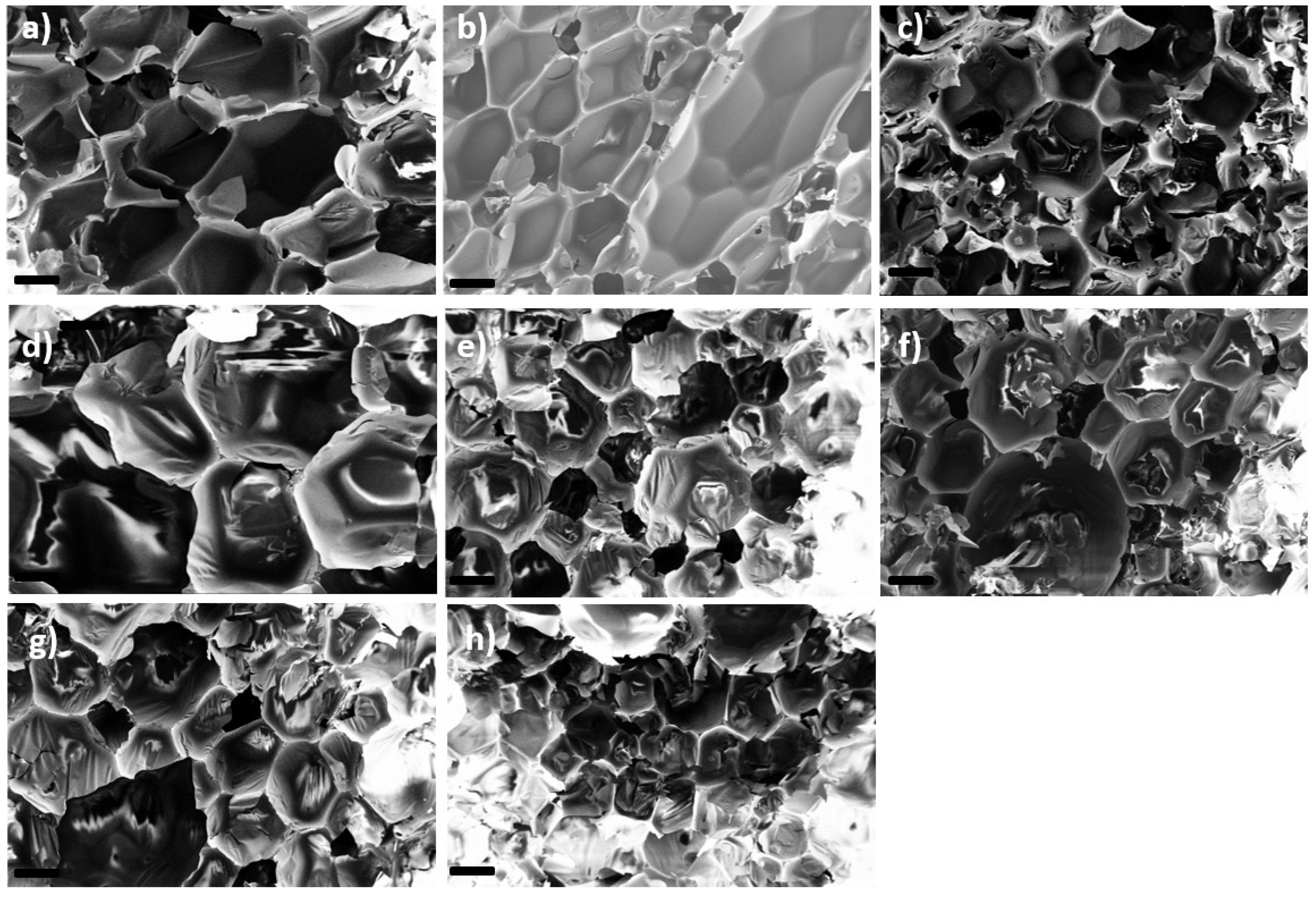 Materials 16 00172 g002 Materials 16 00172 g002