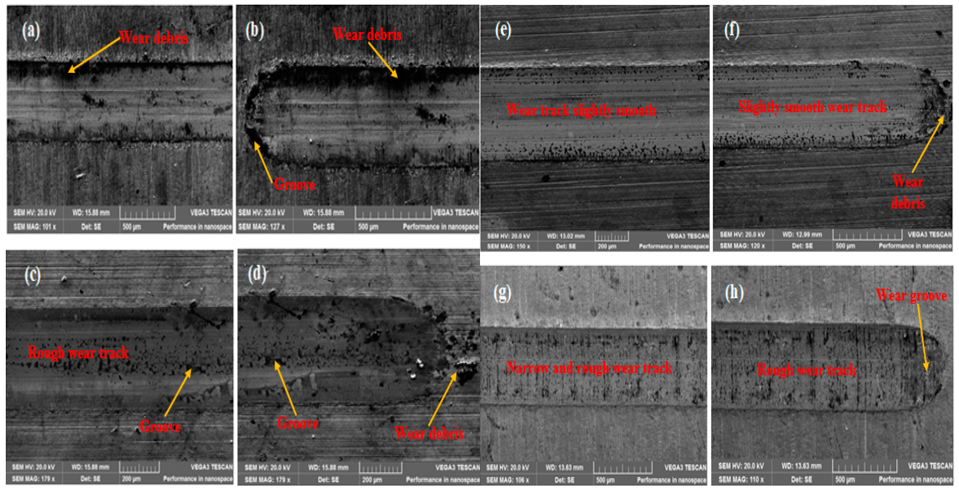 Materials 16 00174 g010