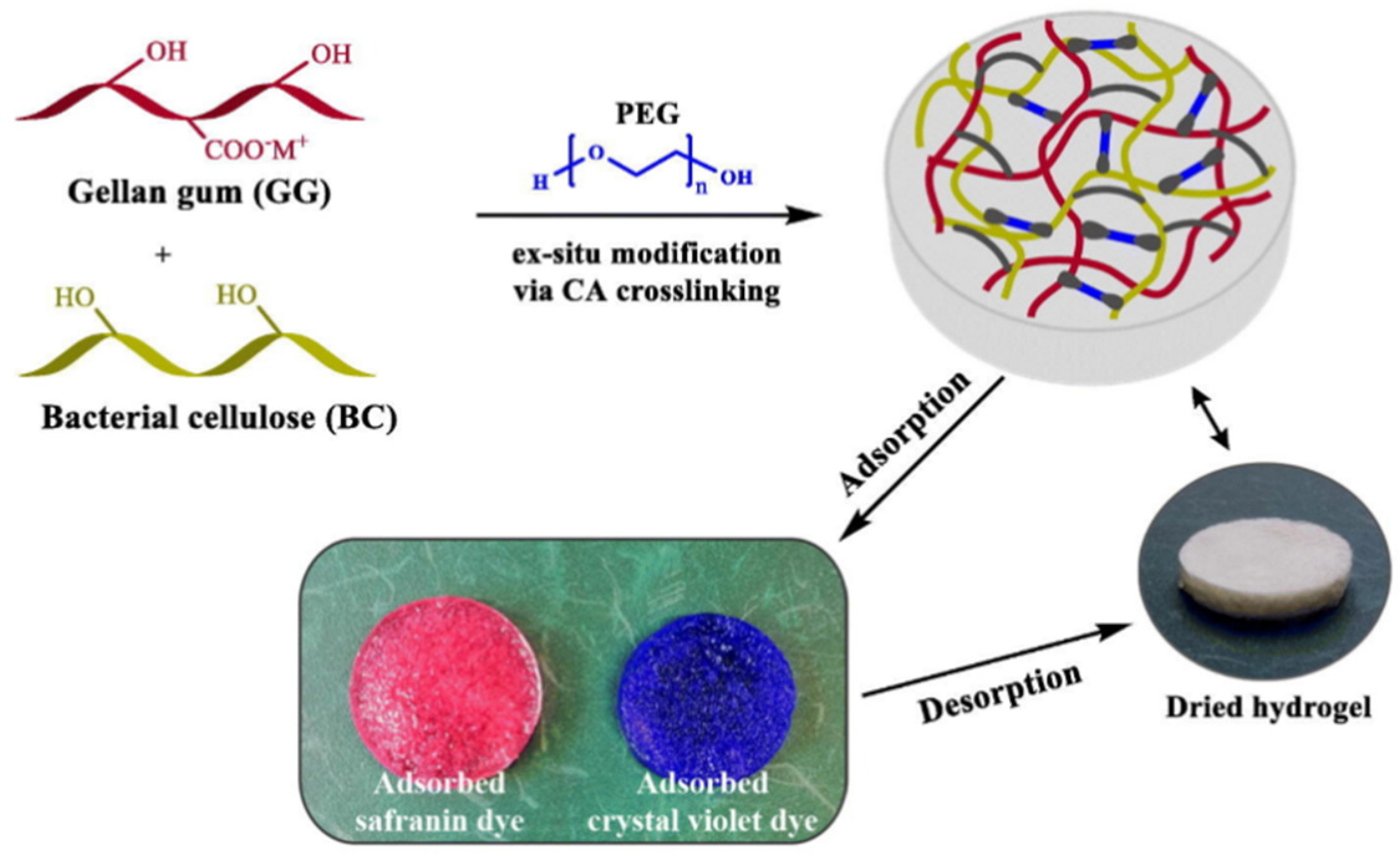 Materials 16 00179 g012 Materials 16 00179 g012