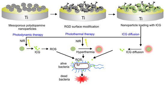 Materials 16 00183 g012 550