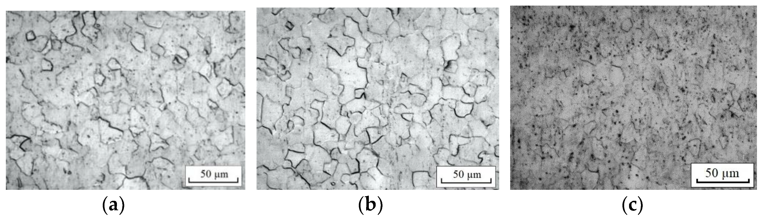 Materials 16 00191 g005