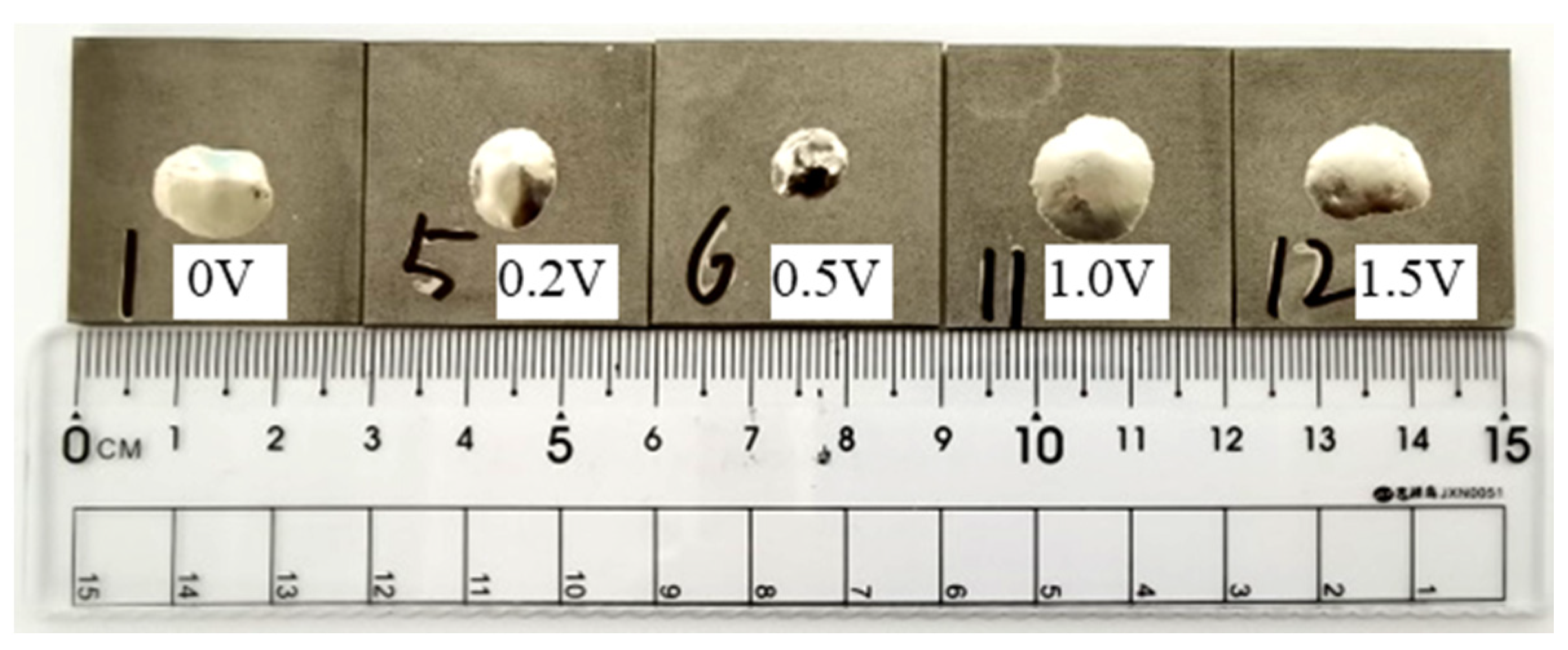 Materials 16 00199 g006