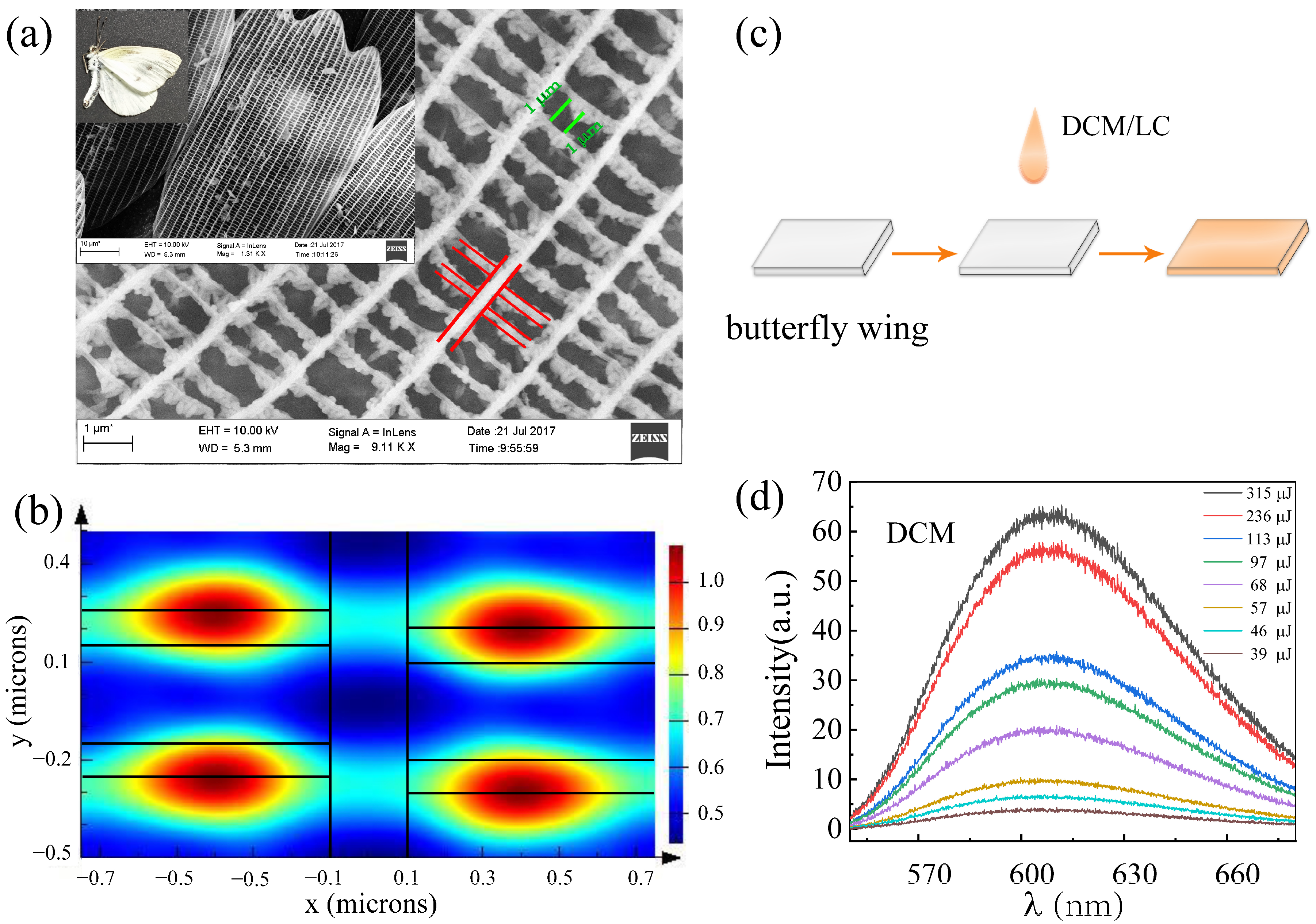 Materials 16 00200 g001 Materials 16 00200 g001