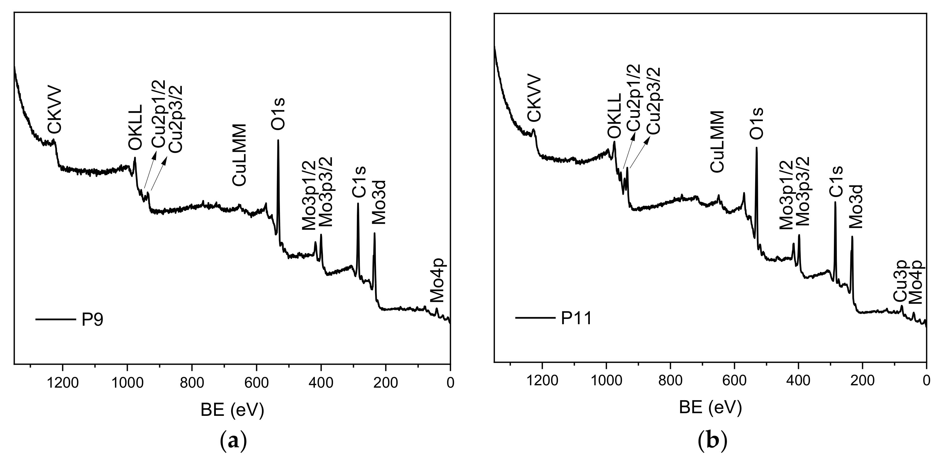 Materials 16 00206 g007 550