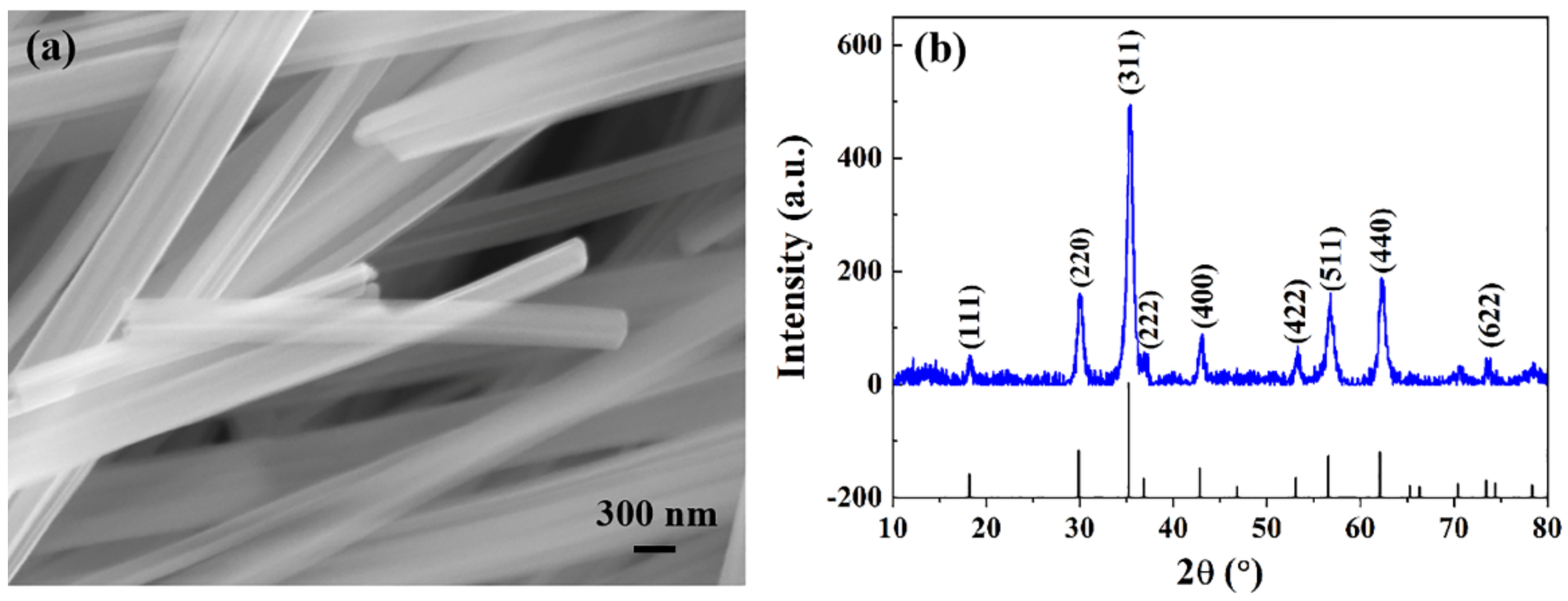 Materials 16 00209 g001