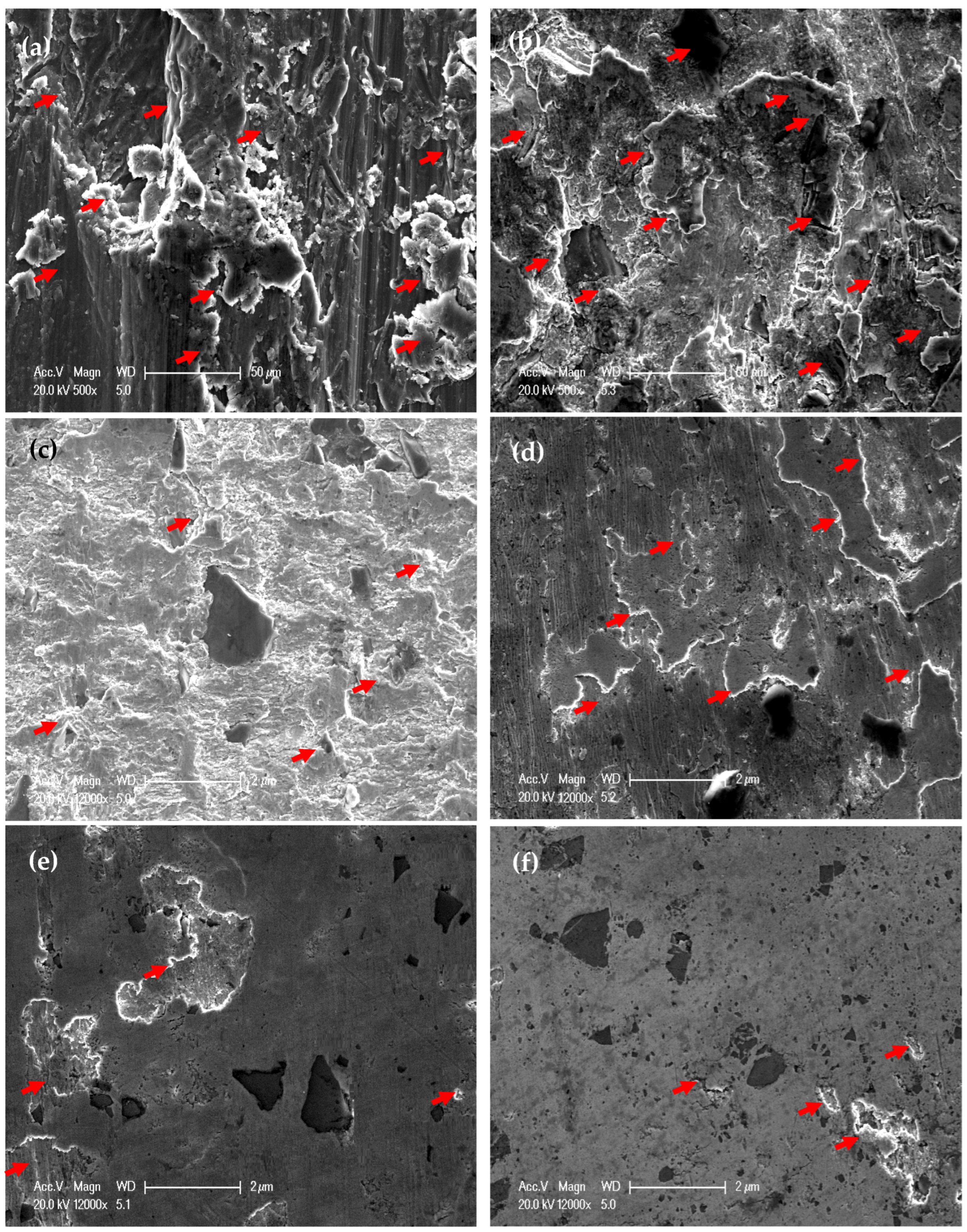 Materials 16 00216 g013 Materials 16 00216 g013