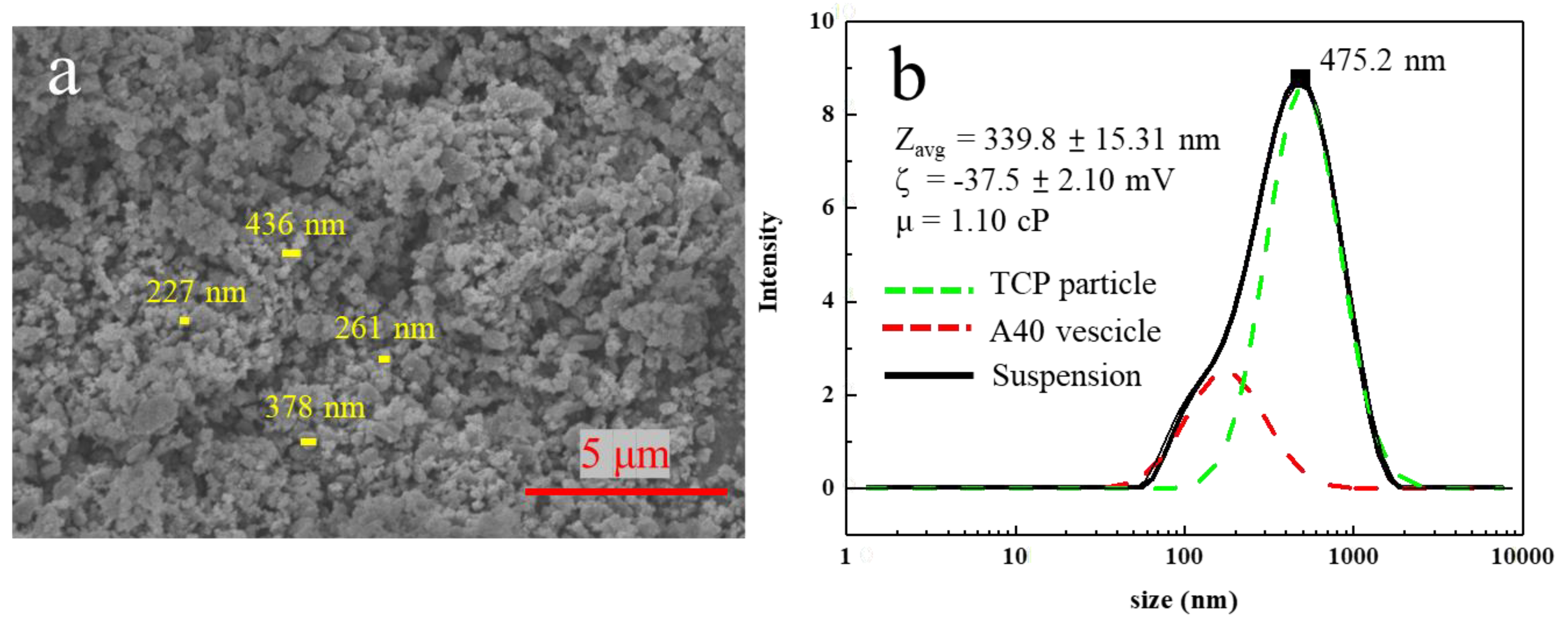 Materials 16 00228 g004